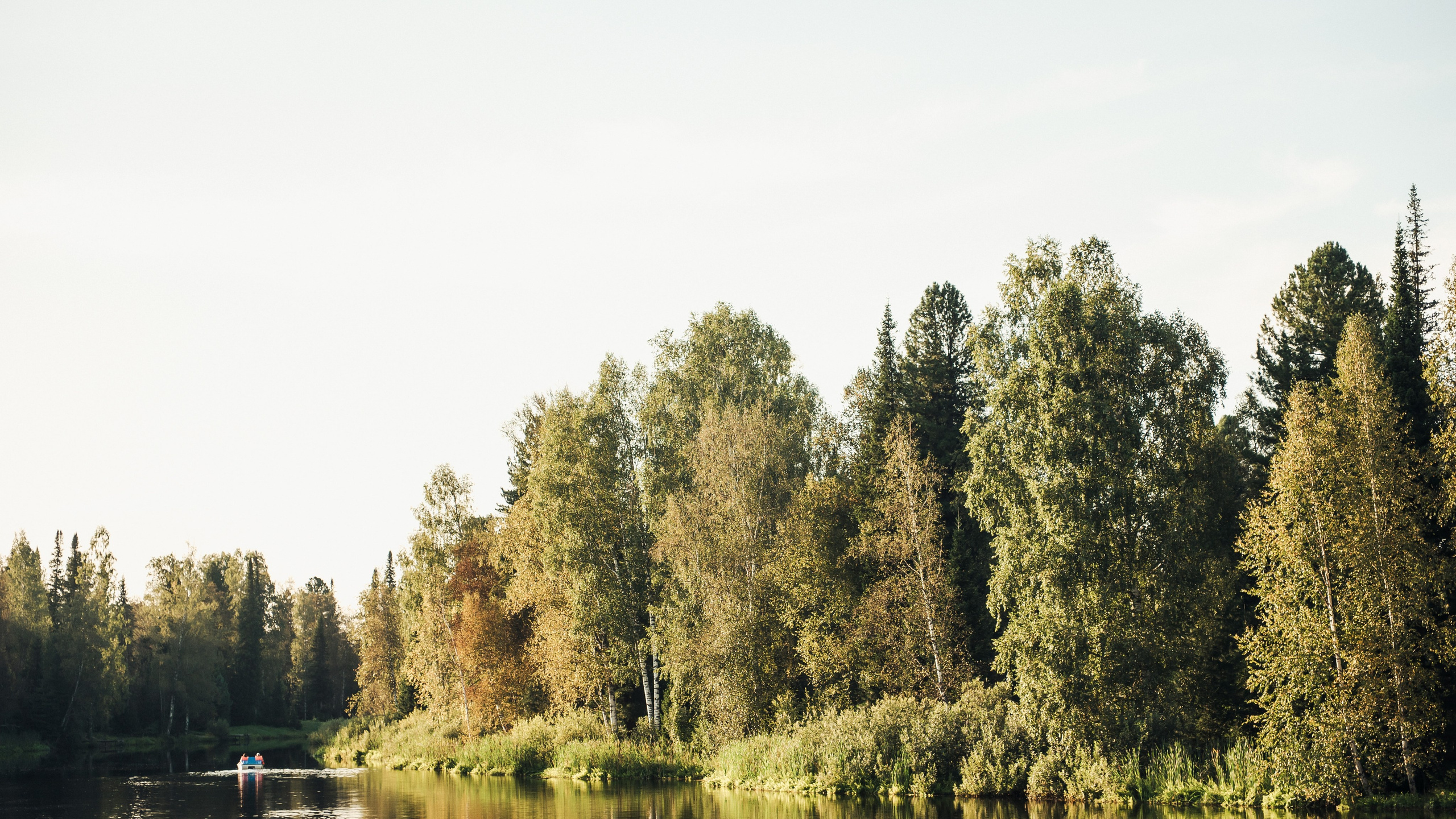 2024.08.17 Данил и Таня. Свадебные фотографы Nekipelov_photo