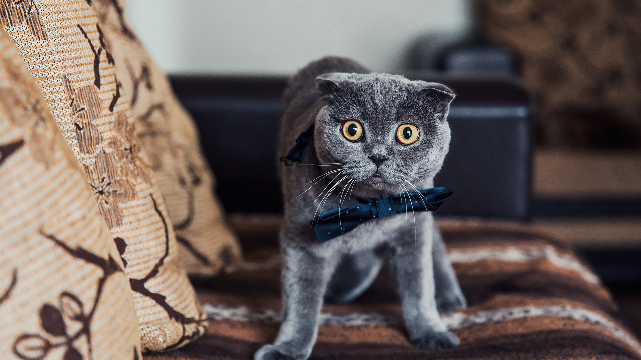 2019.08.31 Артем и Арина. Свадебные фотографы Nekipelov_photo