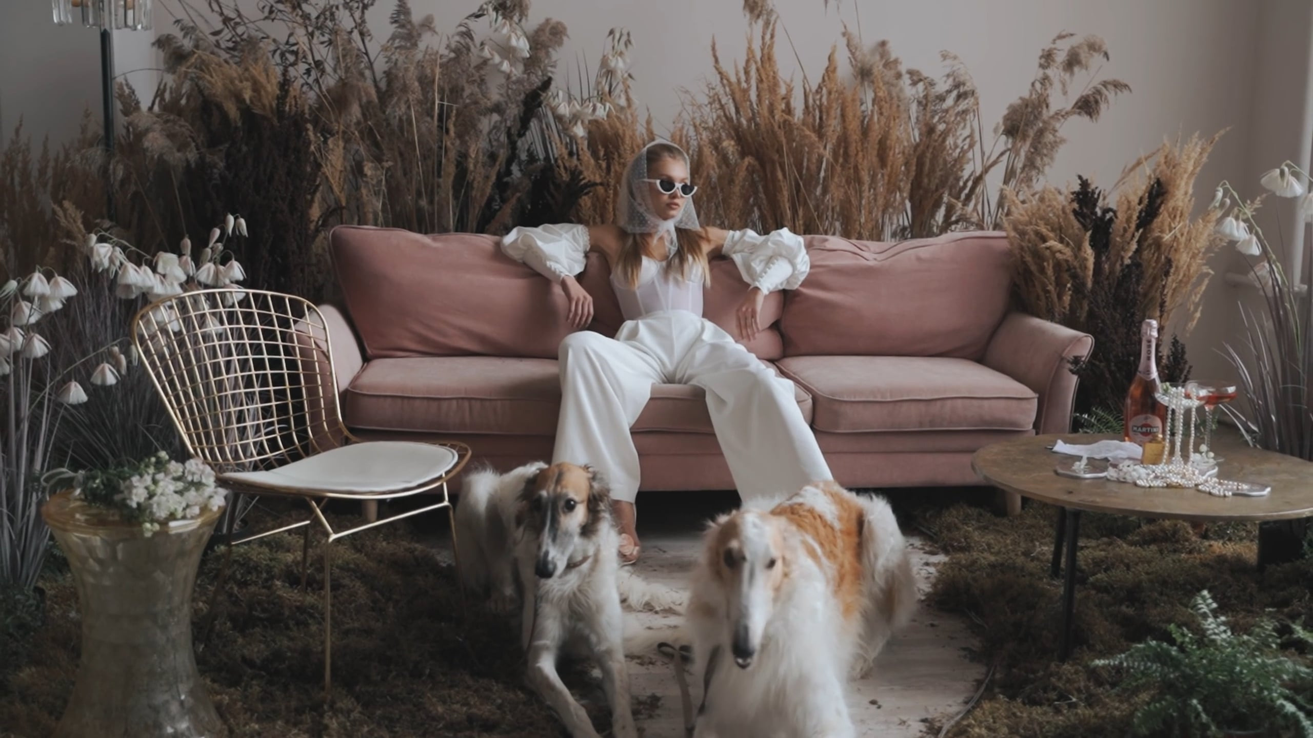 Видео. Свадебный фотограф Светлана Кот | Москва