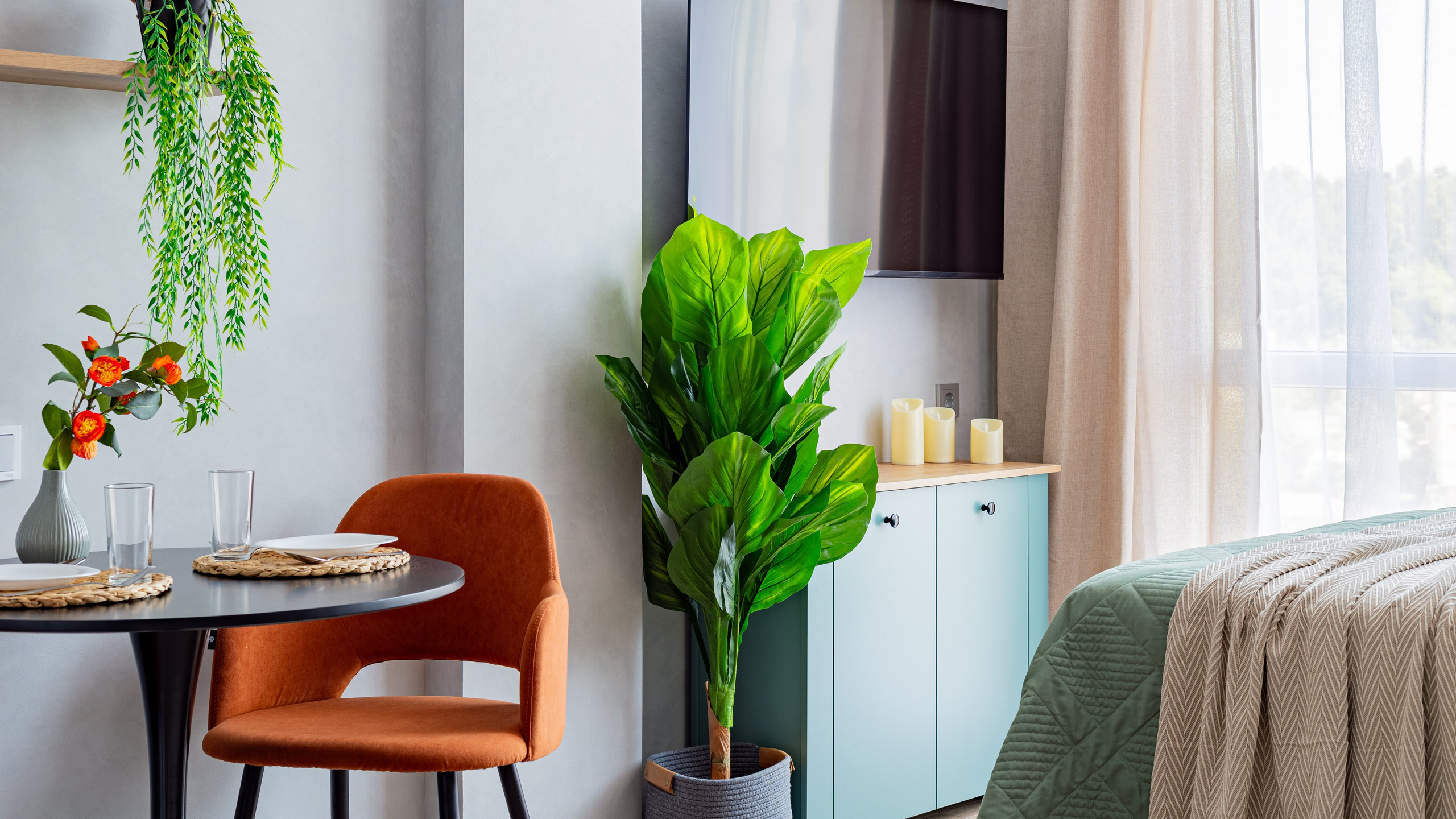 Студия на Дагомысской