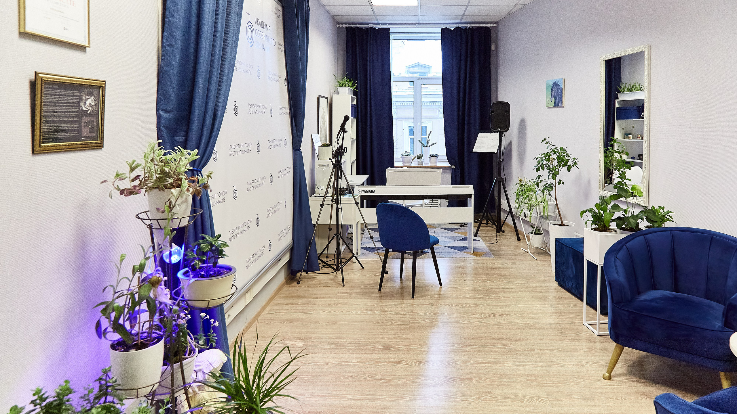 Академия Осознанного Звучания