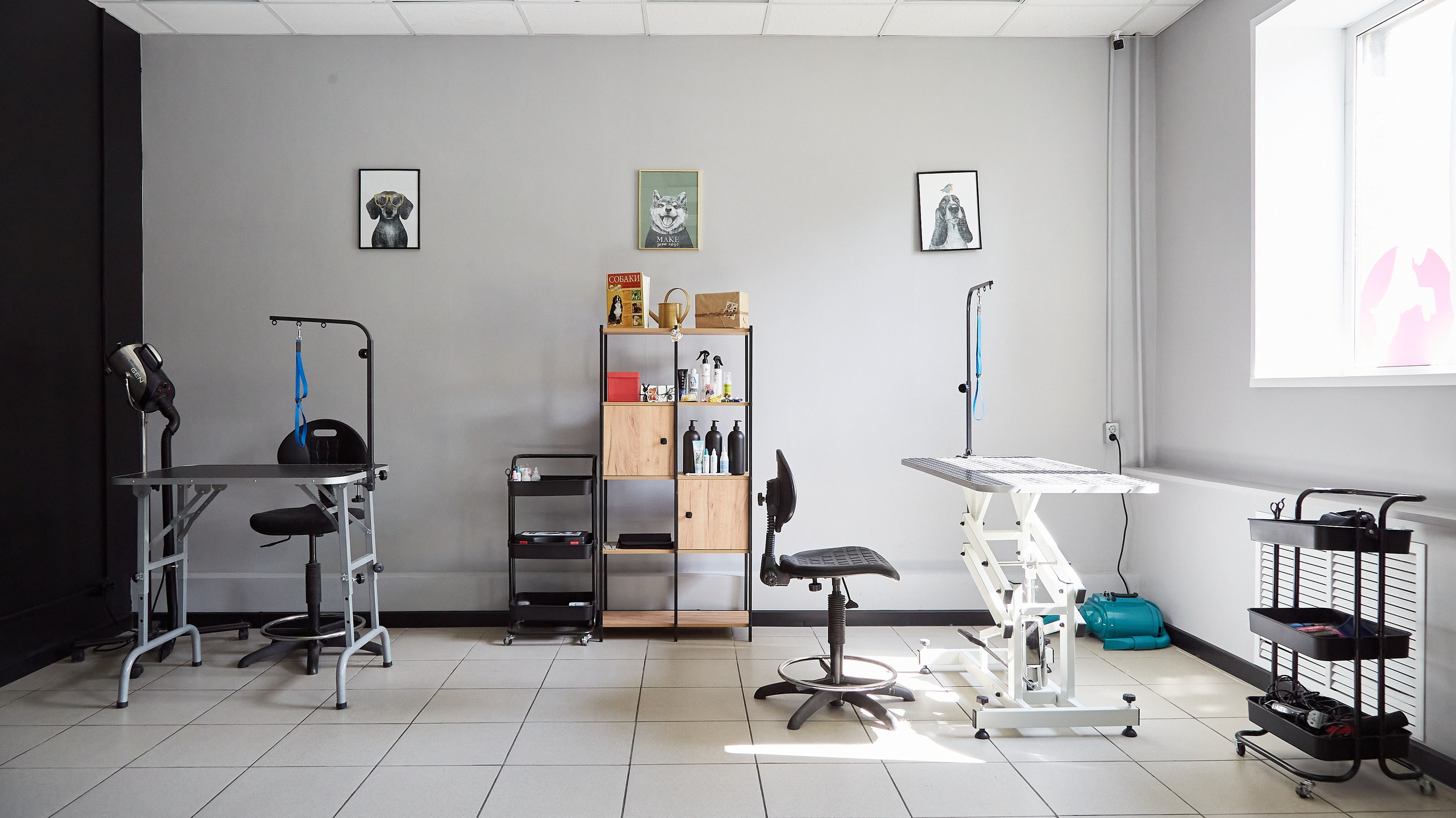 Зоопарикмахерская Avrora Groom