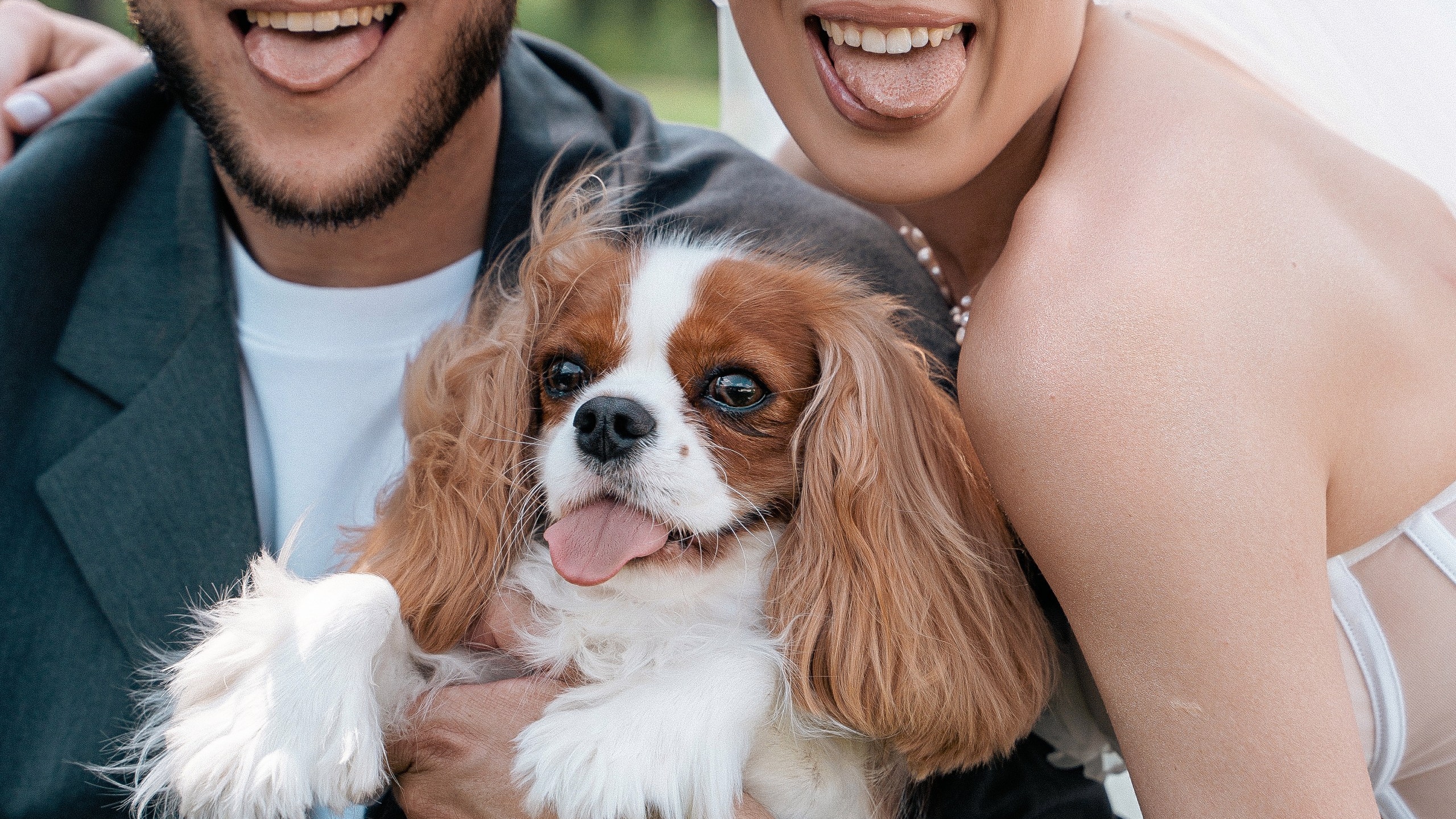 Любовь — это мы