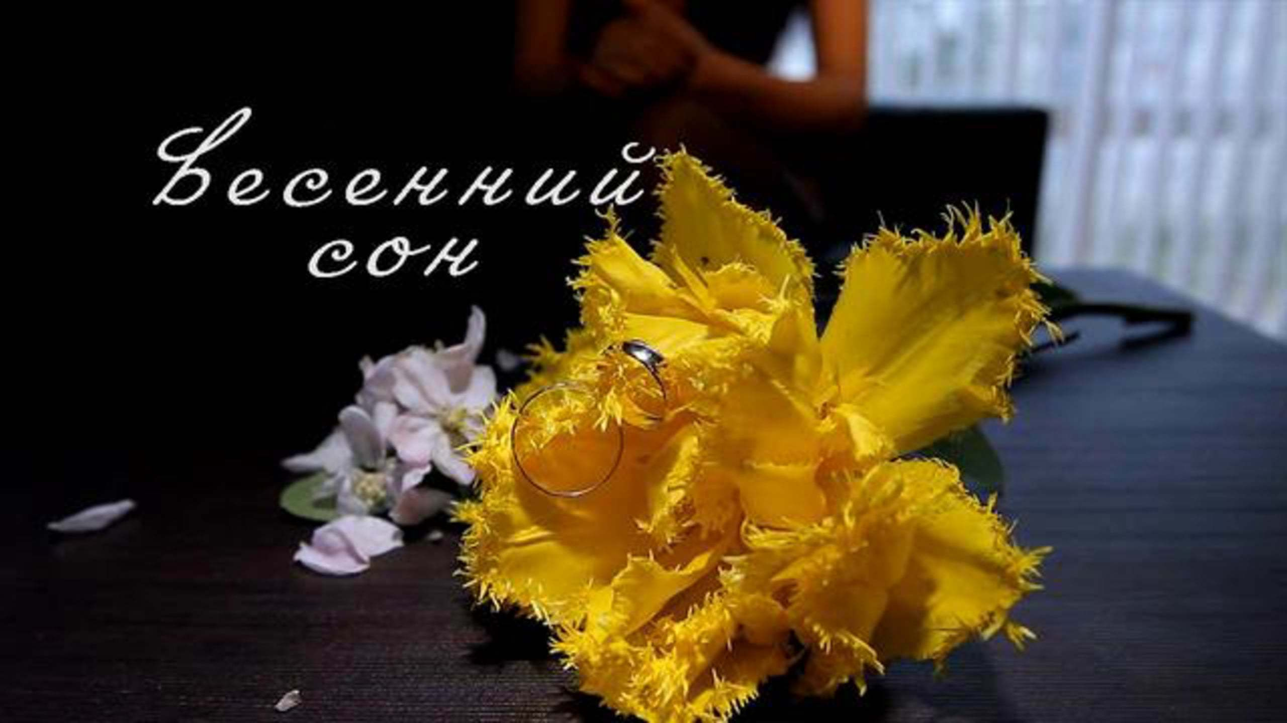 Видеосъемка в Славянске-на-Кубани и Краснодаре