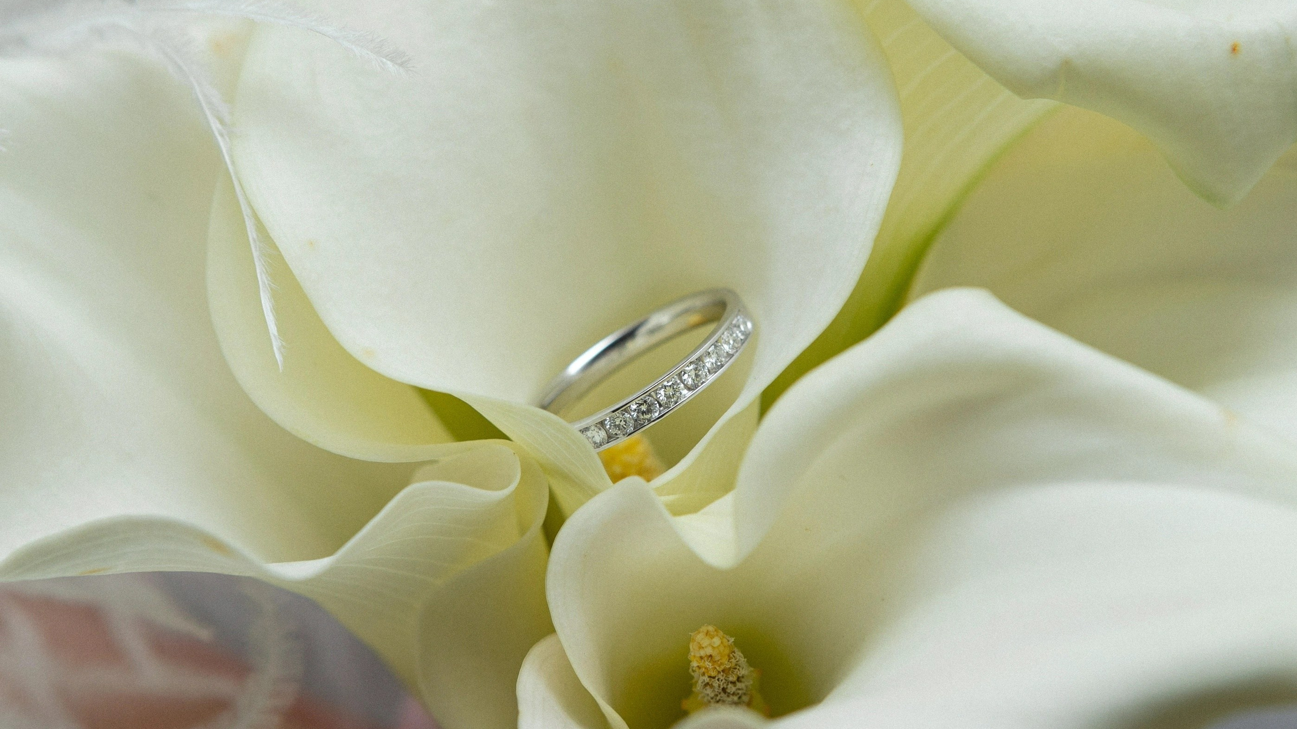 Рилы, Reels и Клипы для Свадеб и Бизнеса в СПб. Фото и Видеосъемка на ваше мероприятие. Александр Романов