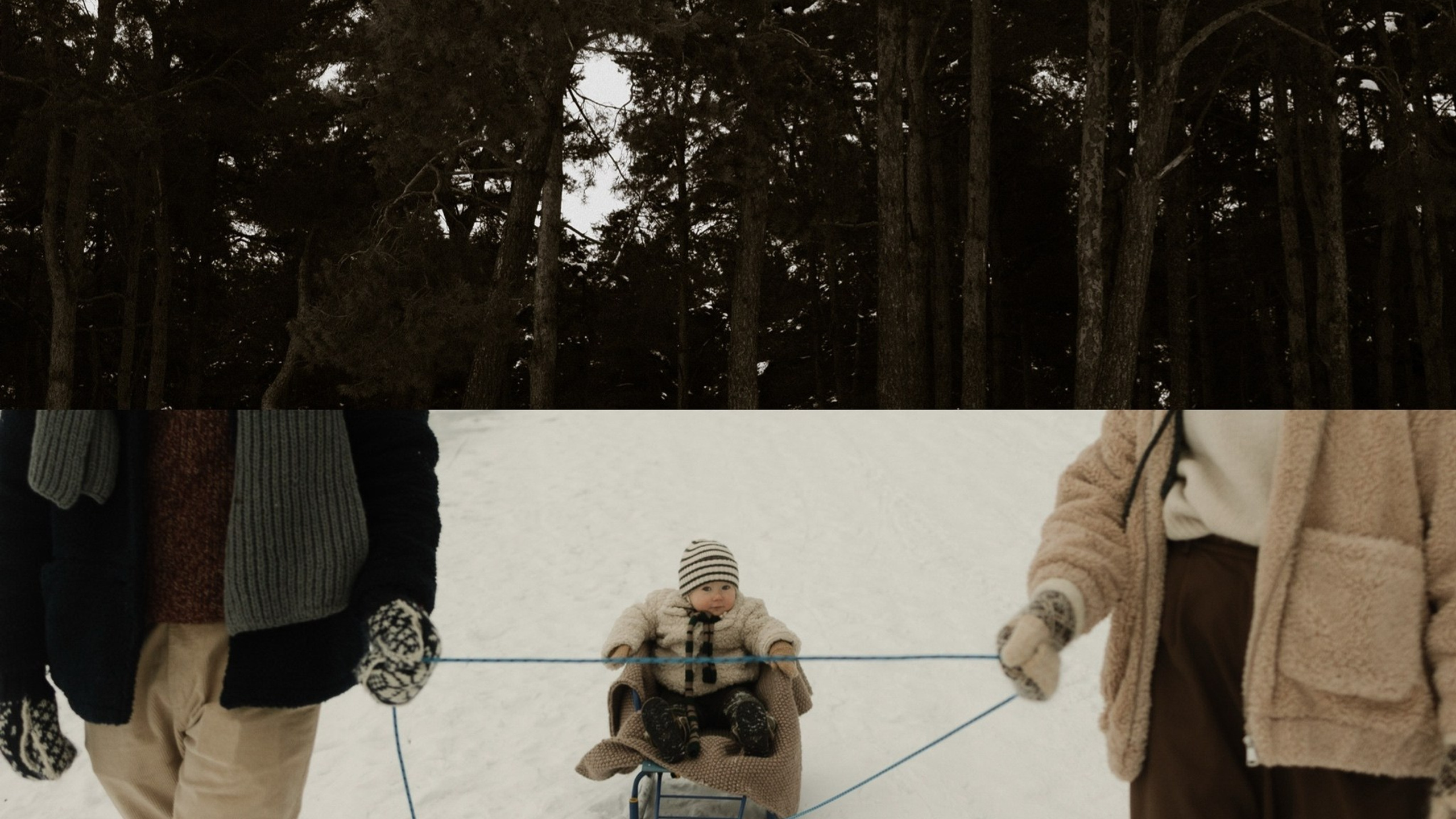 семейные истории 2026