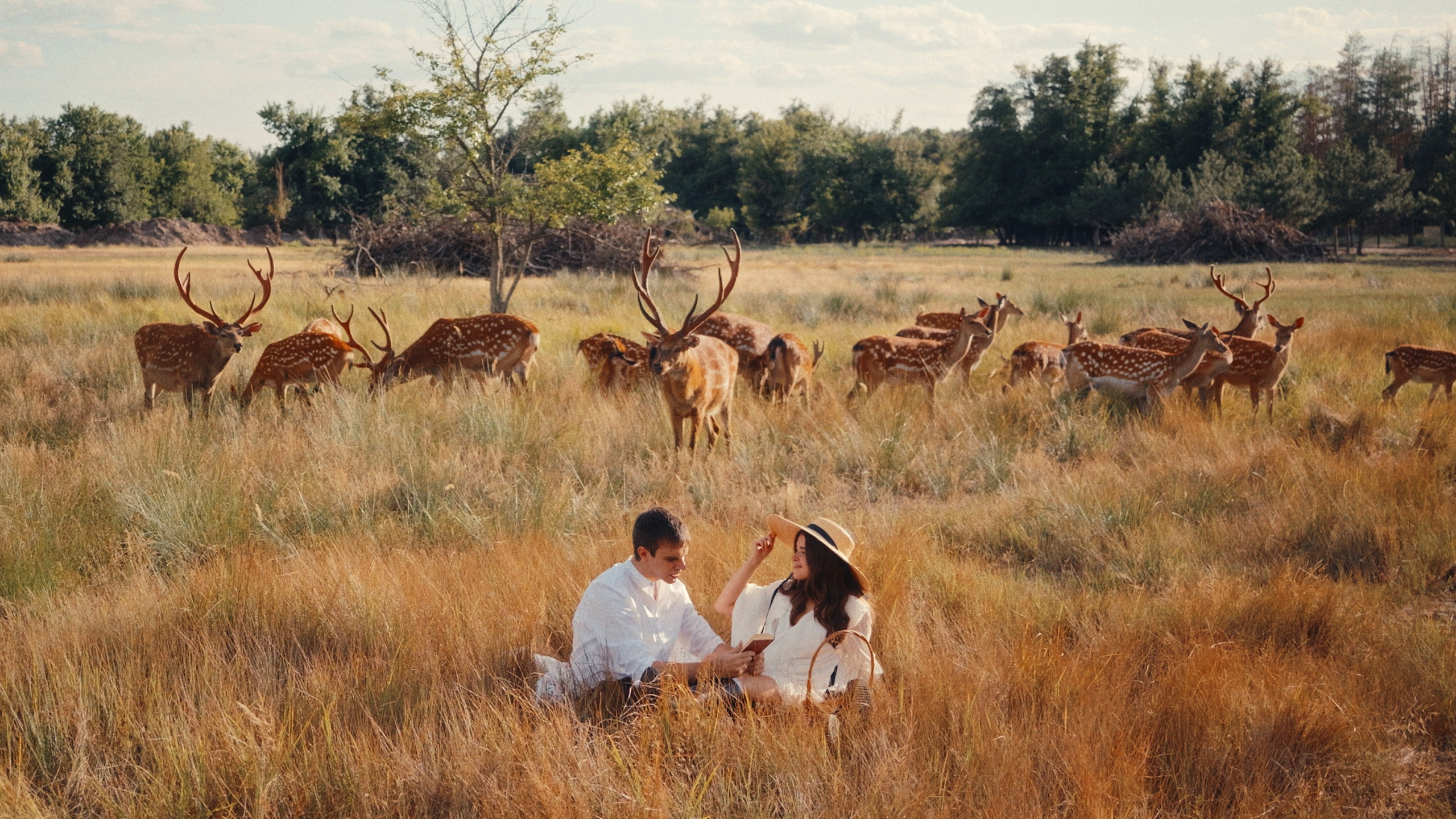 Видеосъемка Love story | Михаил Медведев | Видеосъемка Ростов-на-Дону Краснодар Сочи
