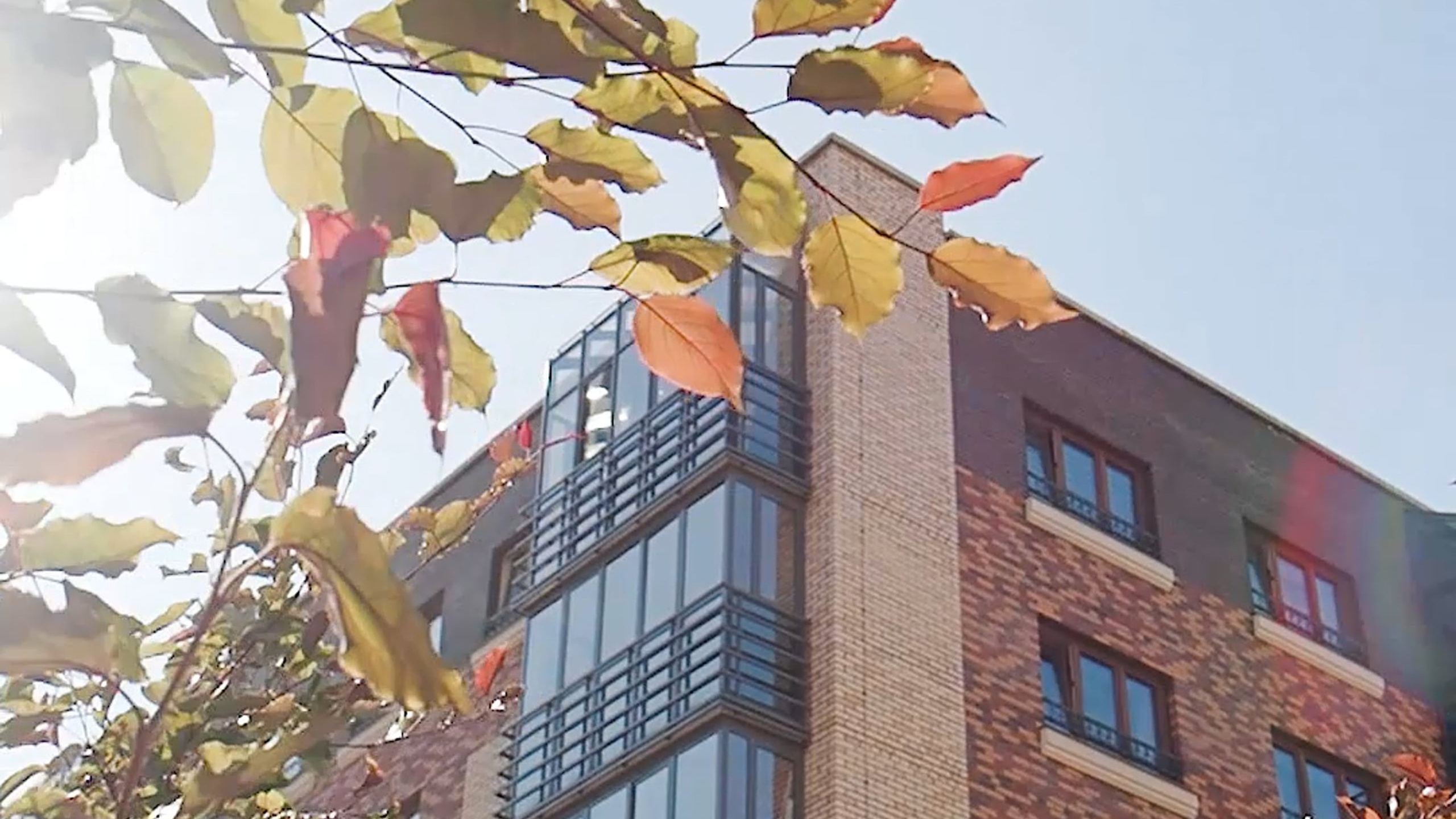 Промо, видео для бизнеса и ремесленников. Видеограф в Красноярске и по всему миру Одинцова Вероника