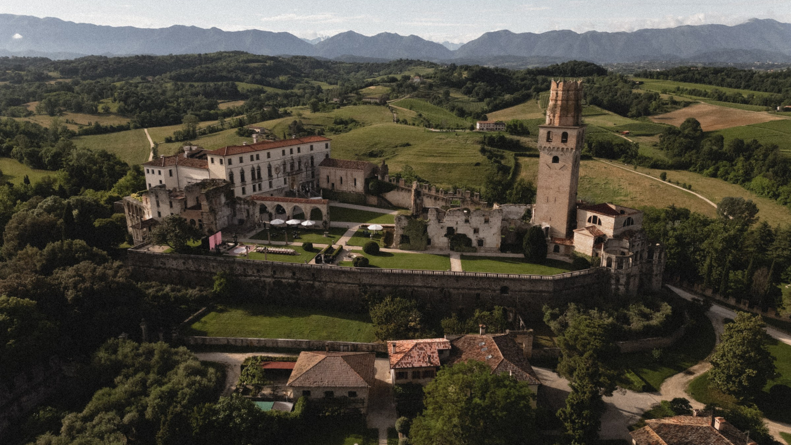 Лев • дракон • серия собирается'25