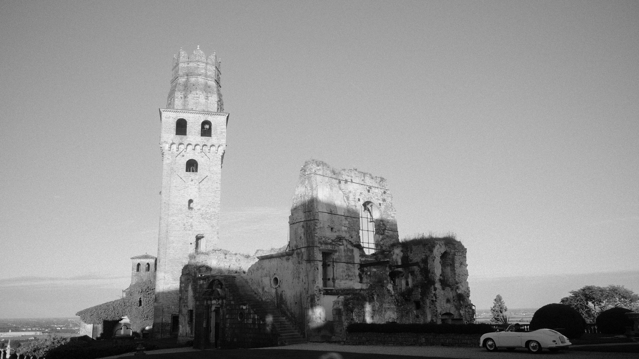 Лев • дракон • серия собирается'25