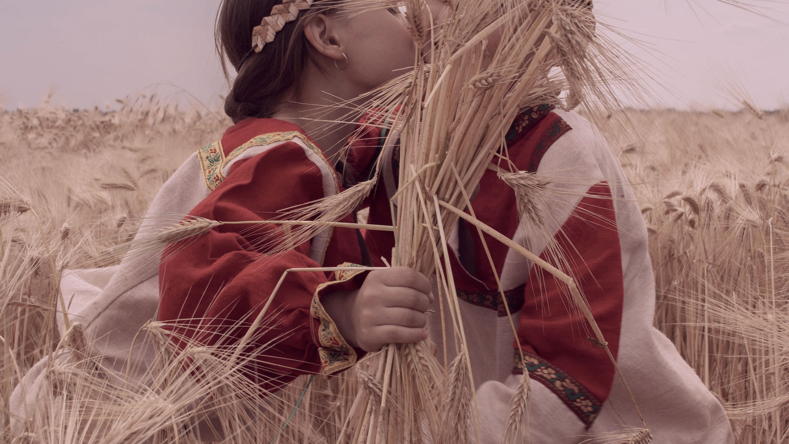 Поле золотое