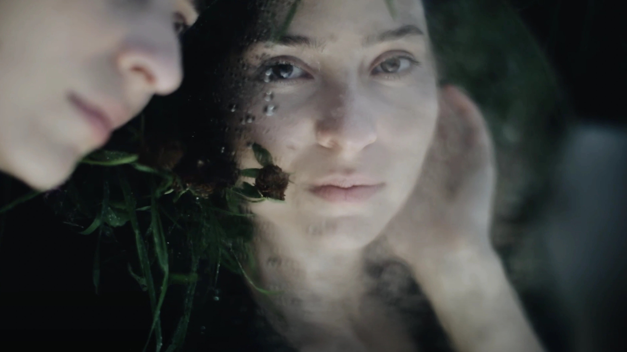 КЛИПЫ И СНИПЕТЫ. Марк Лиманский