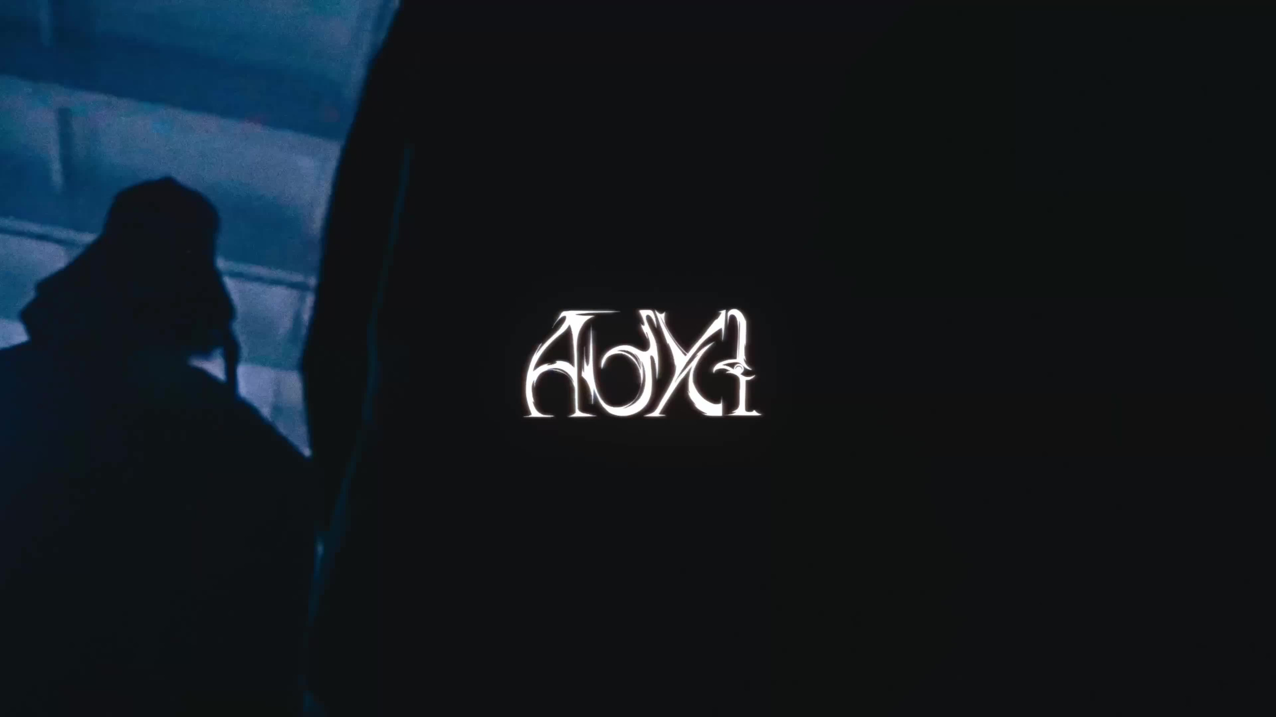 FASHION. Свадебный- видеограф, Руслан Зейн