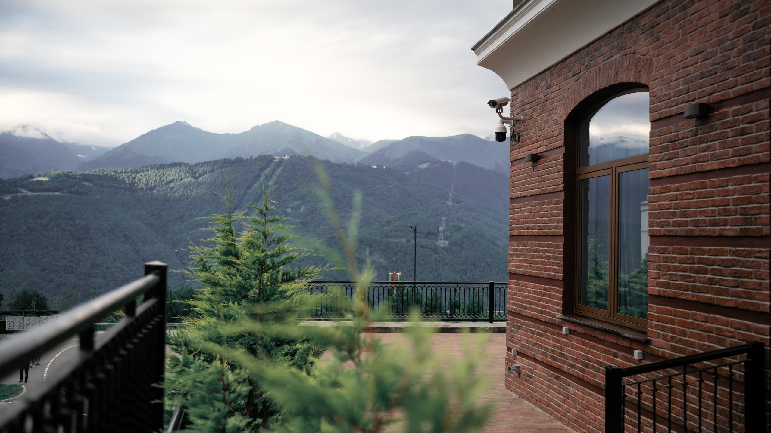 Sochi 2023. Felixtones