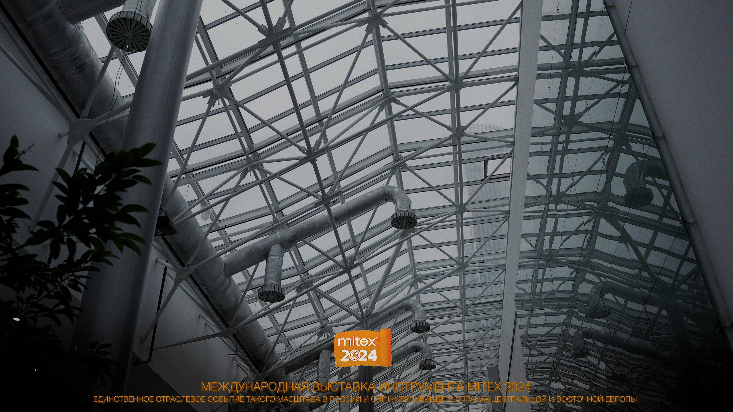 ВЫСТАВКИ КОНФЕРЕНЦИИ И РЕПОРТАЖИ. Свадебный видеограф в Москве Максим Лобач-Граубергер