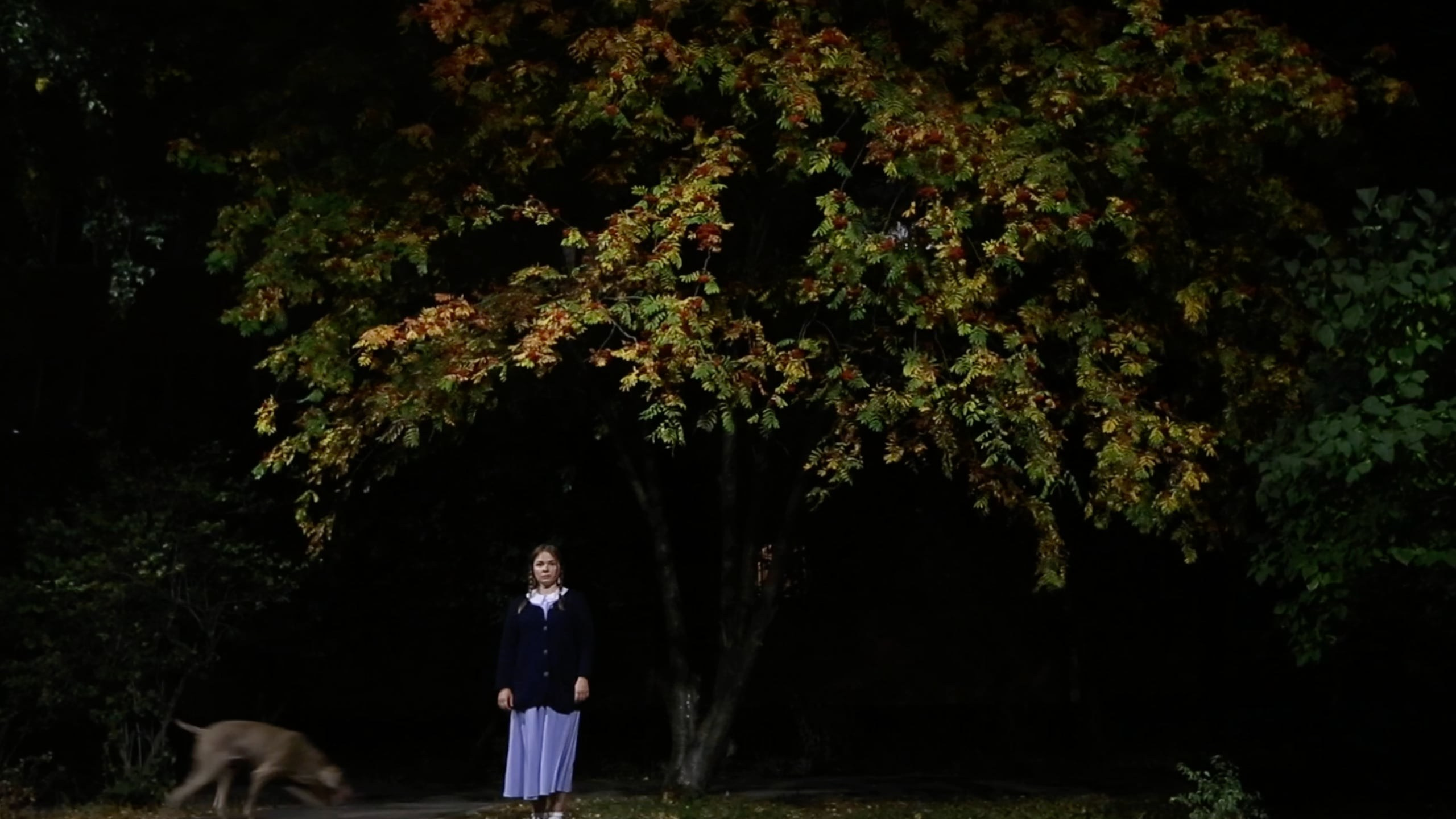 Standing (Autumn) is videoart by Olga Mikhalchuk. Olga Mikhalchuk, visual artist