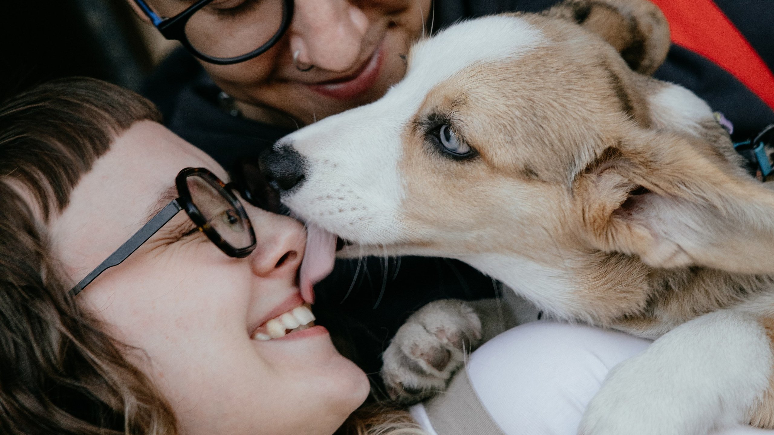 Не&nbsp;все дома