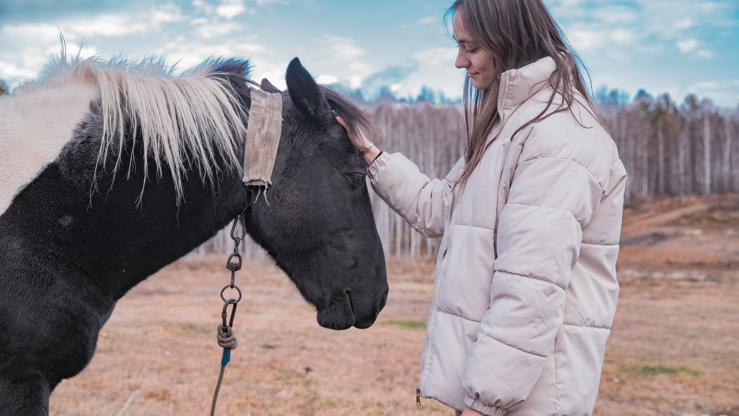 Форум «Россия наш дом "