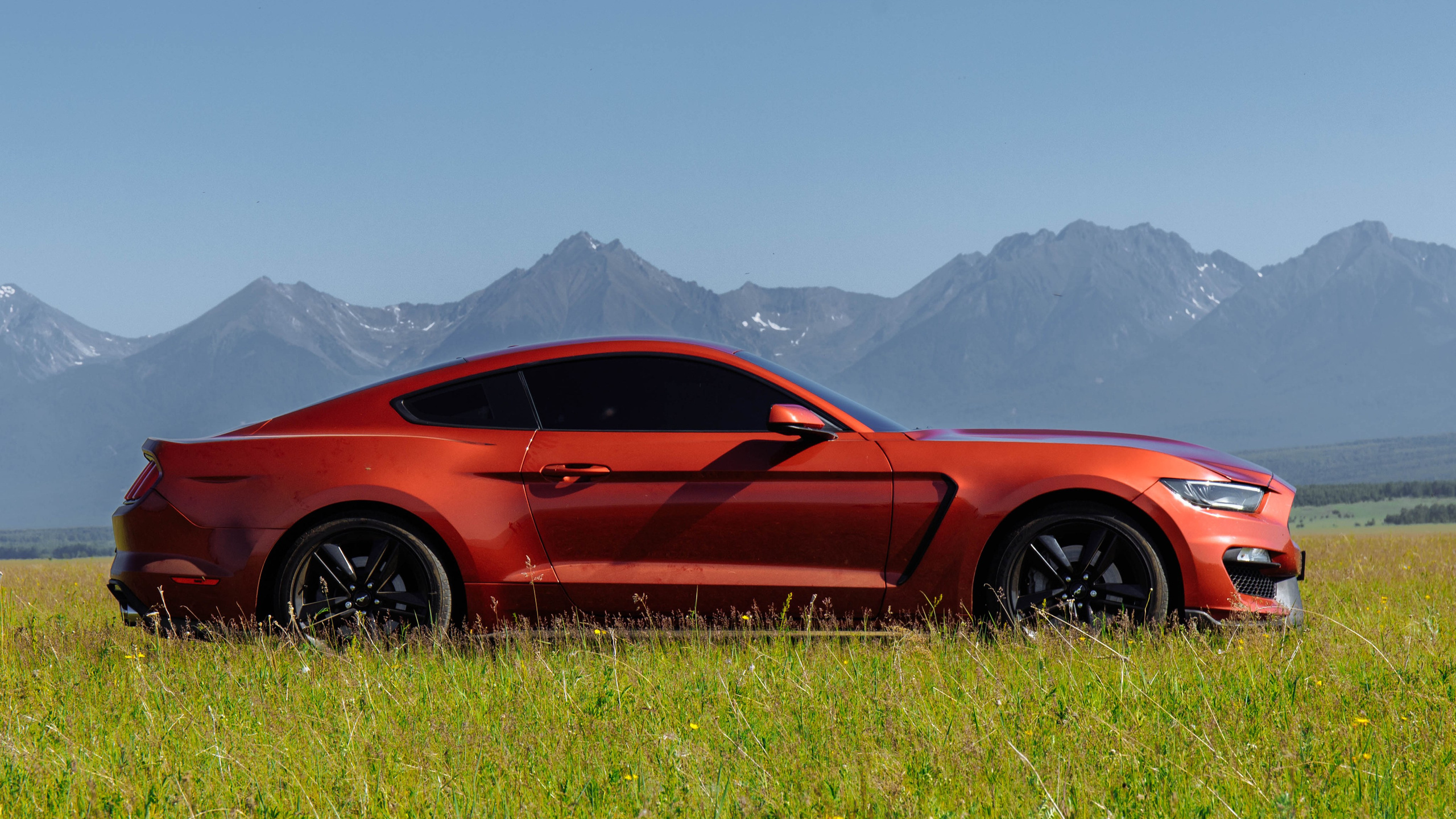 MUSTANG