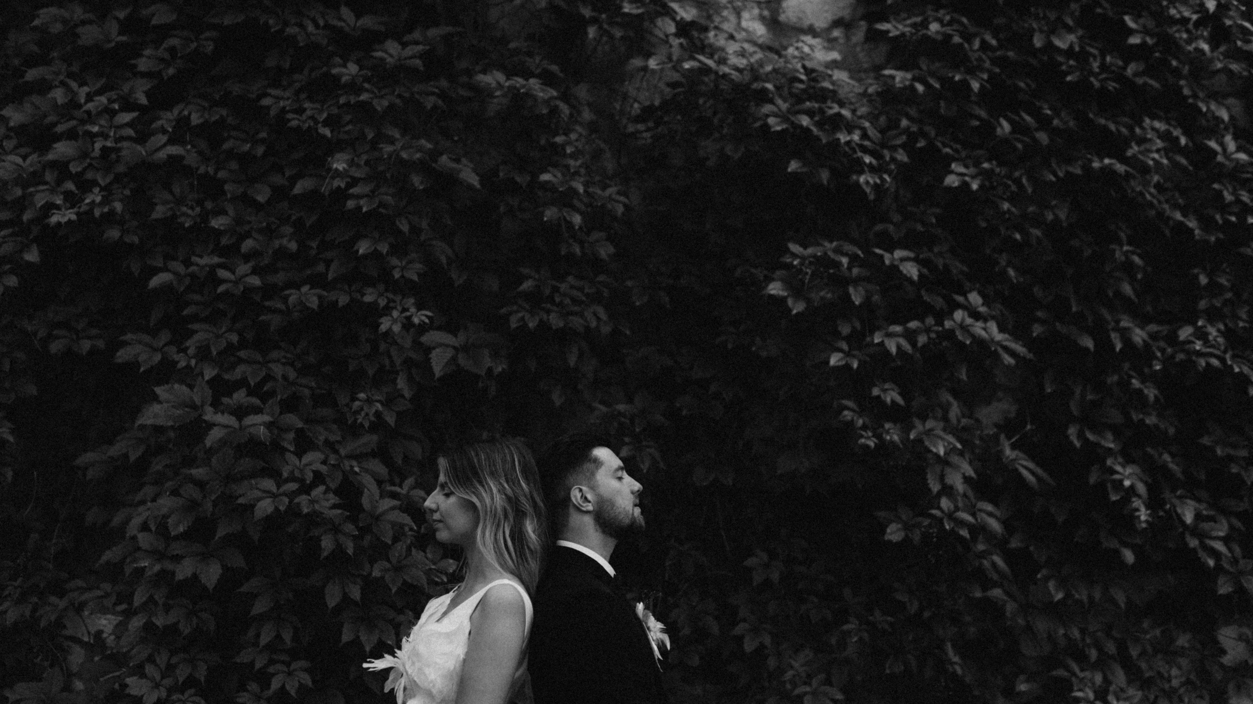 Дождливый день