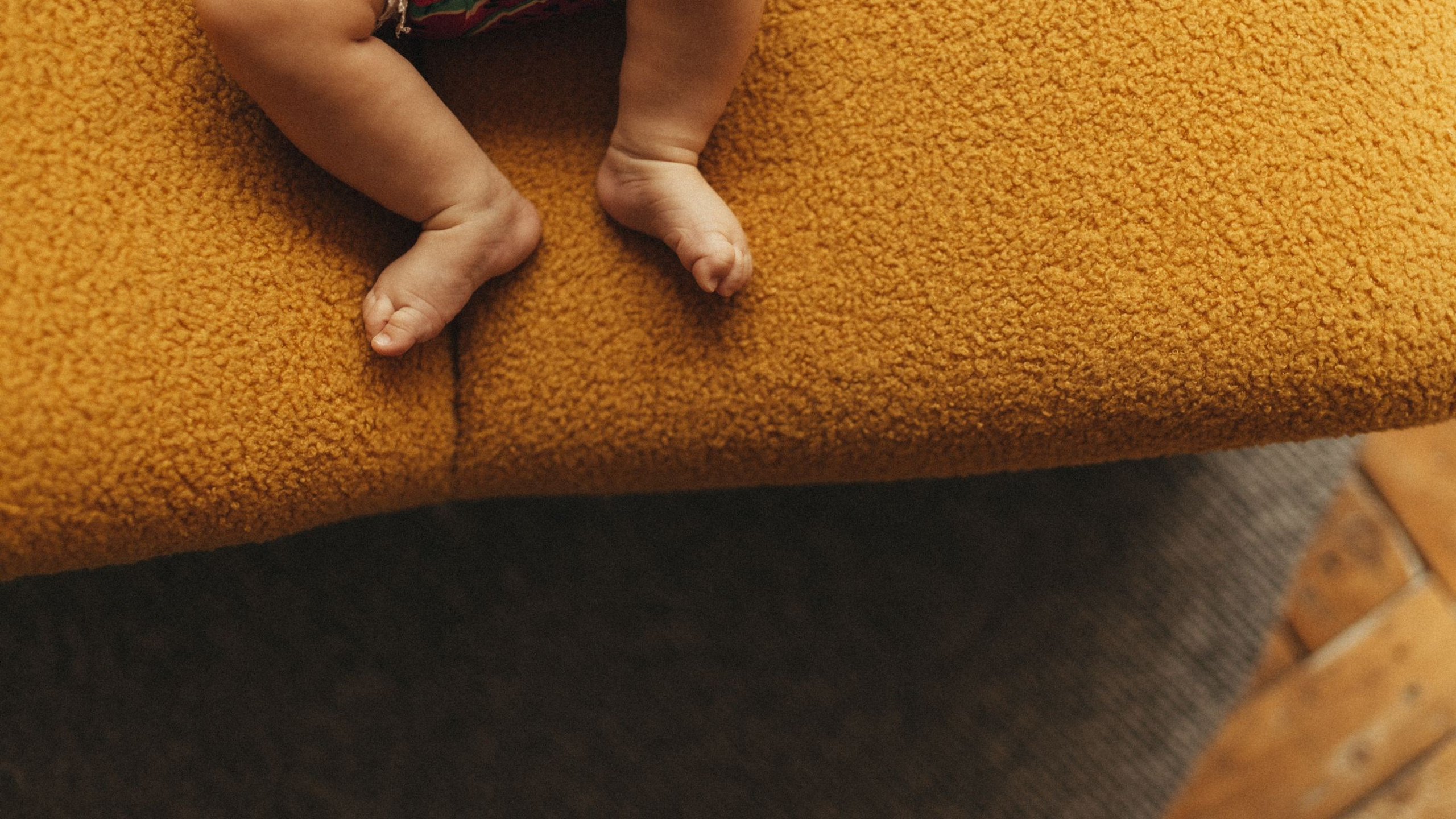 Студия семья