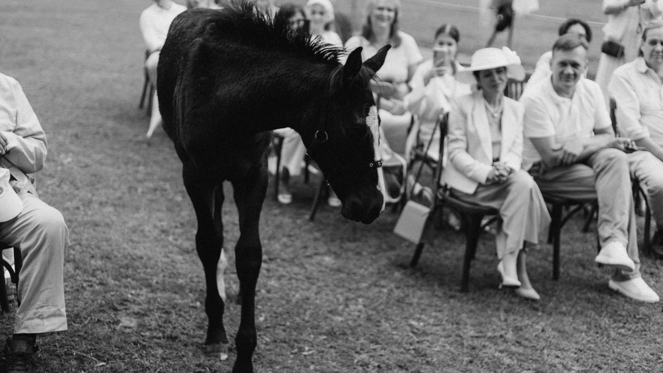 Не главные герои на своей церемонии