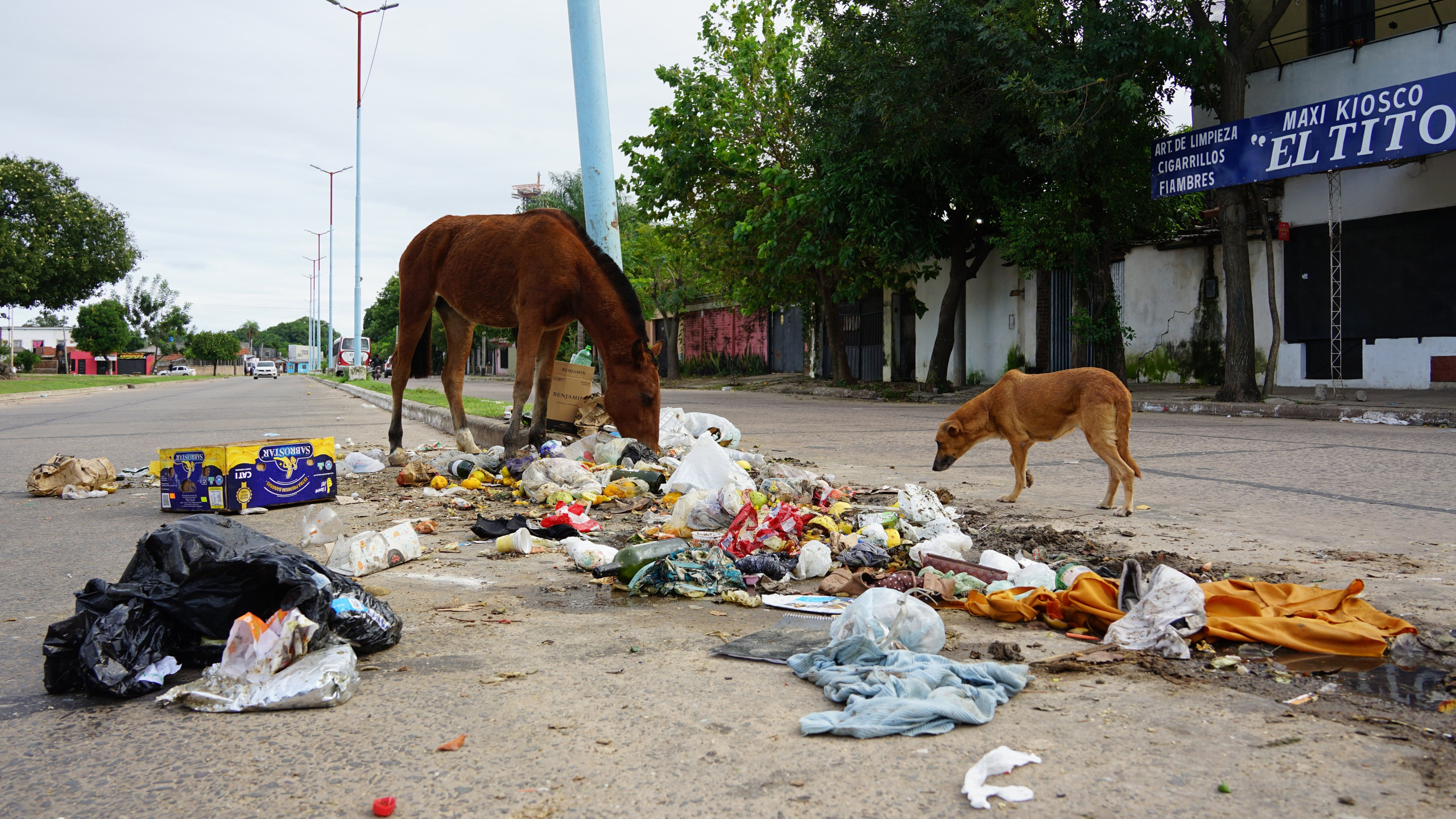 The city is not fancy. Argentina