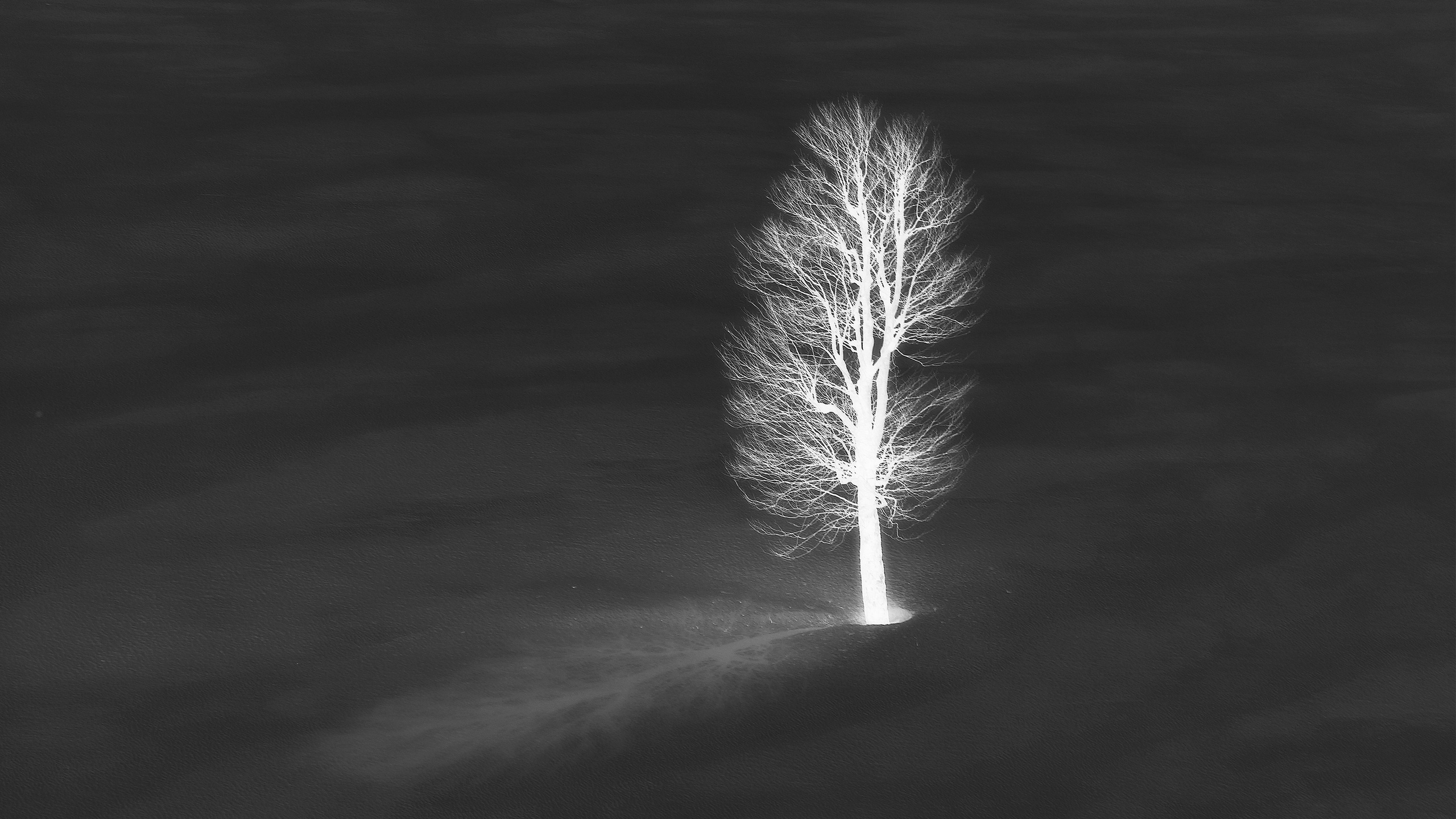 White and black, film negative