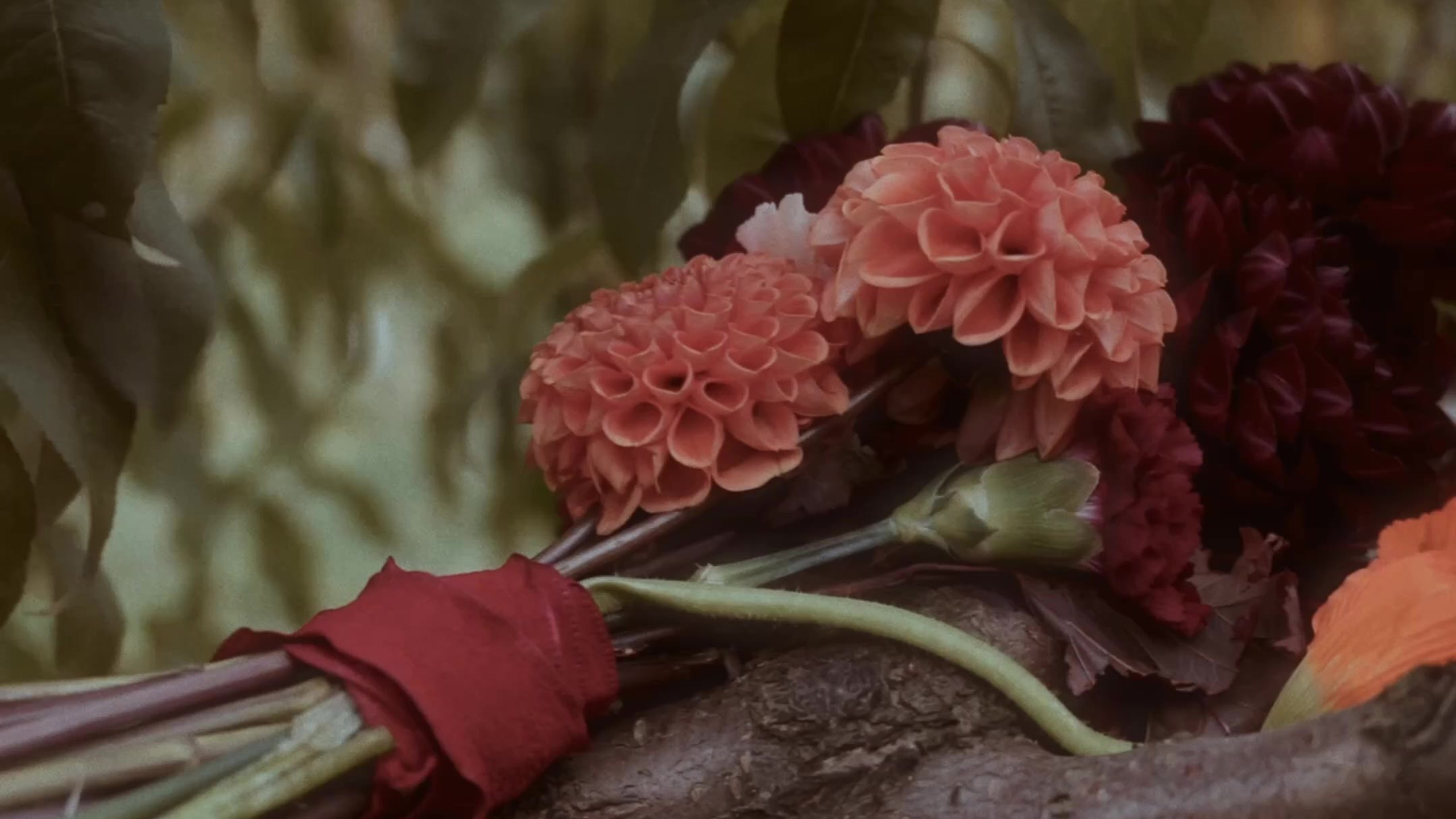 Вертикальные ролики. Свадебный видеограф, снимаю ваши истории любви в Ростове-на-Дону и не только