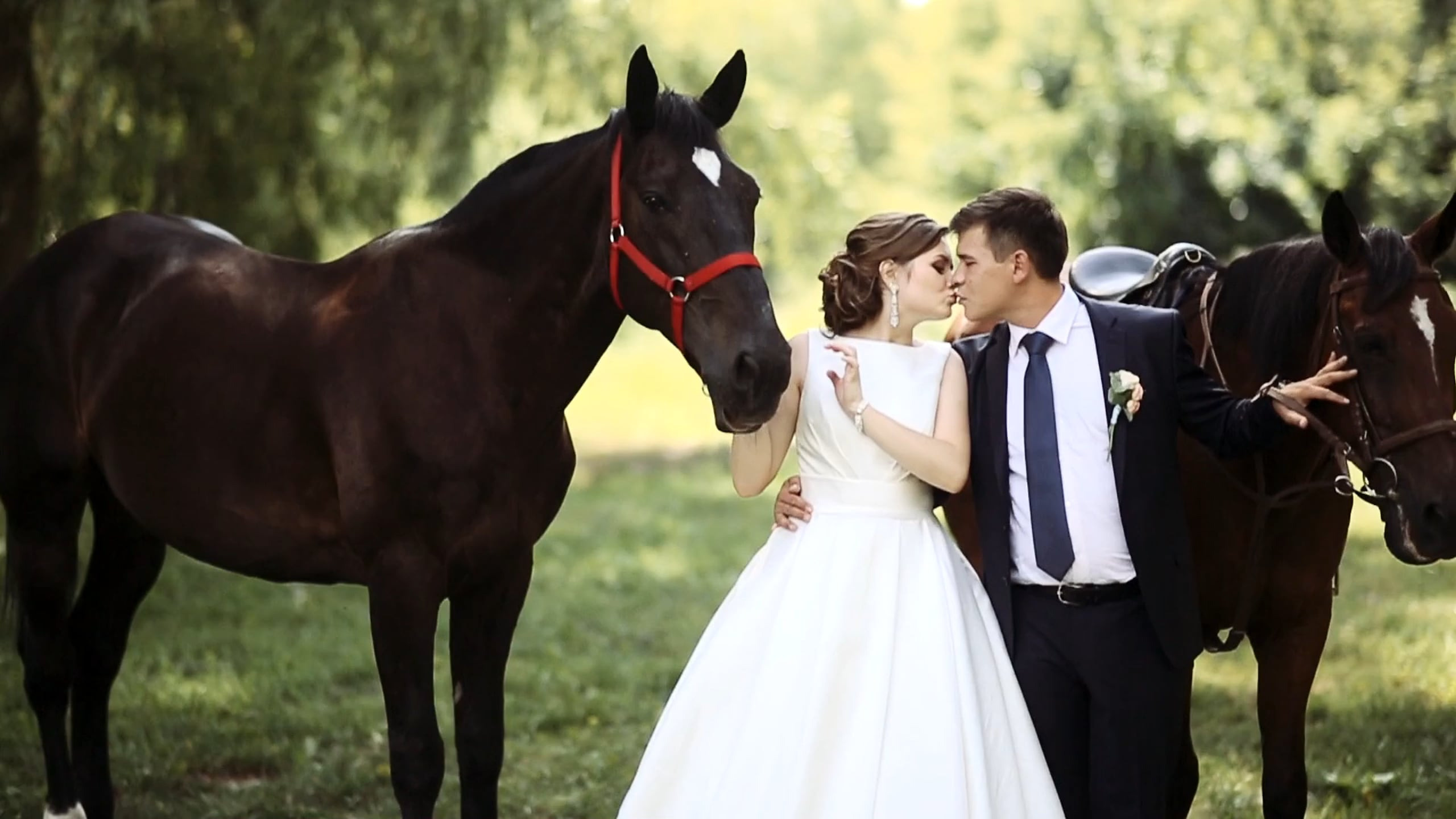 Свадебное видео в Сызрани. Свадебное фото и видео