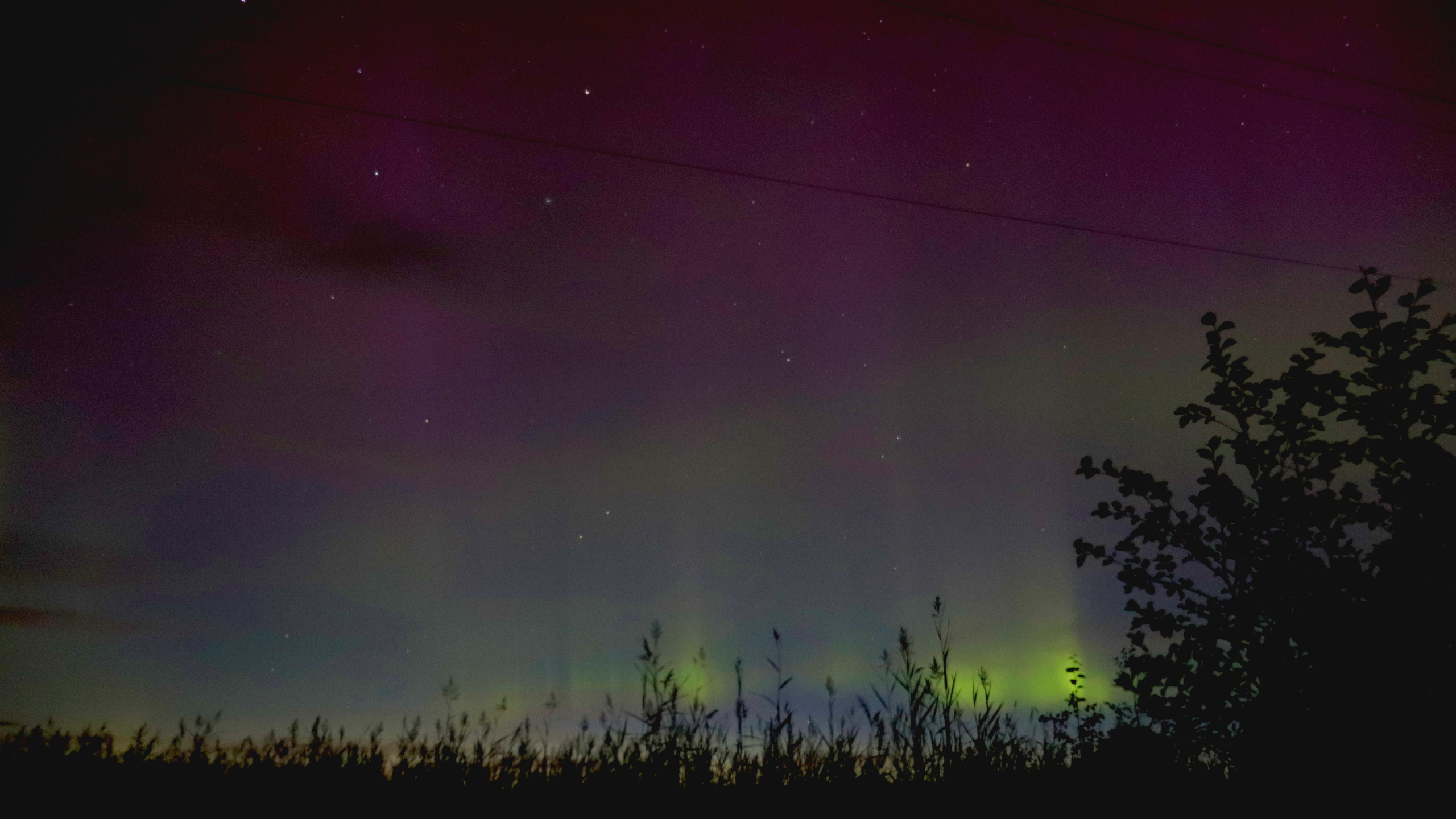 Аврора Борей (Aurora Borealis)