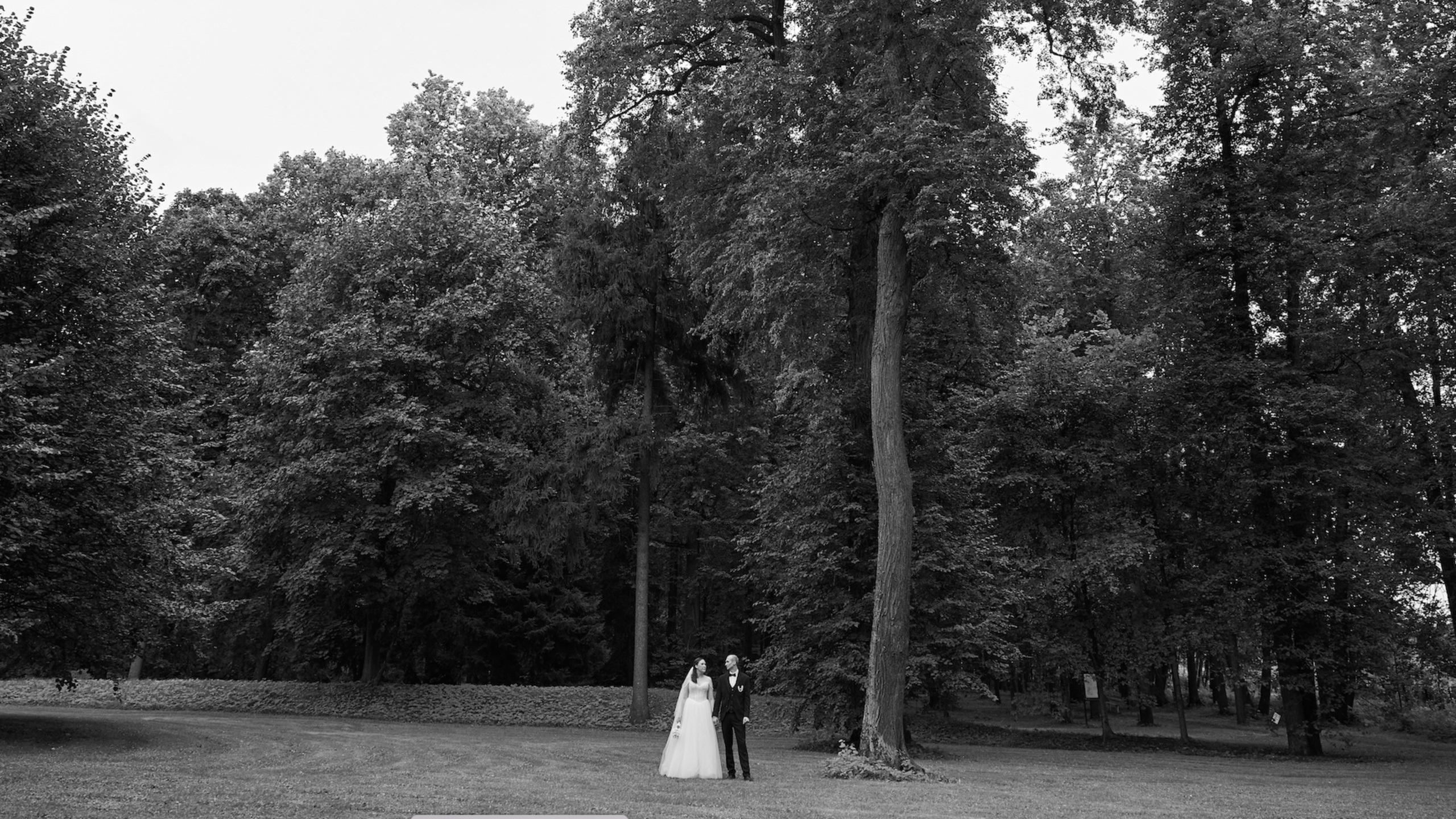 ТИЗЕР + ФИЛЬМ wedding. Kharchenkotatianaweddingphoto