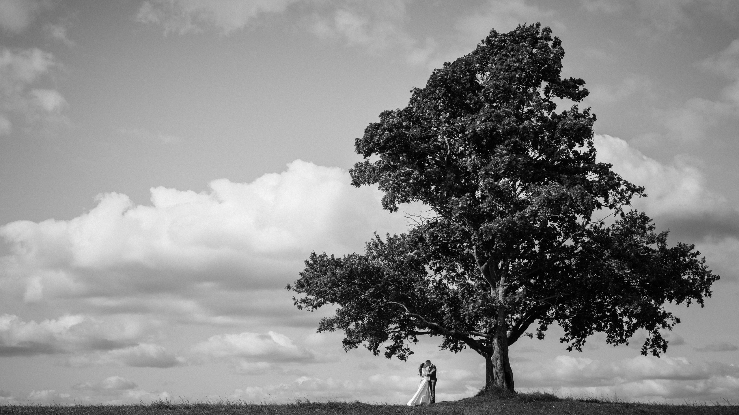 Места для фотосессии в Санкт-Петербурге, свадебный фотограф, фотограф