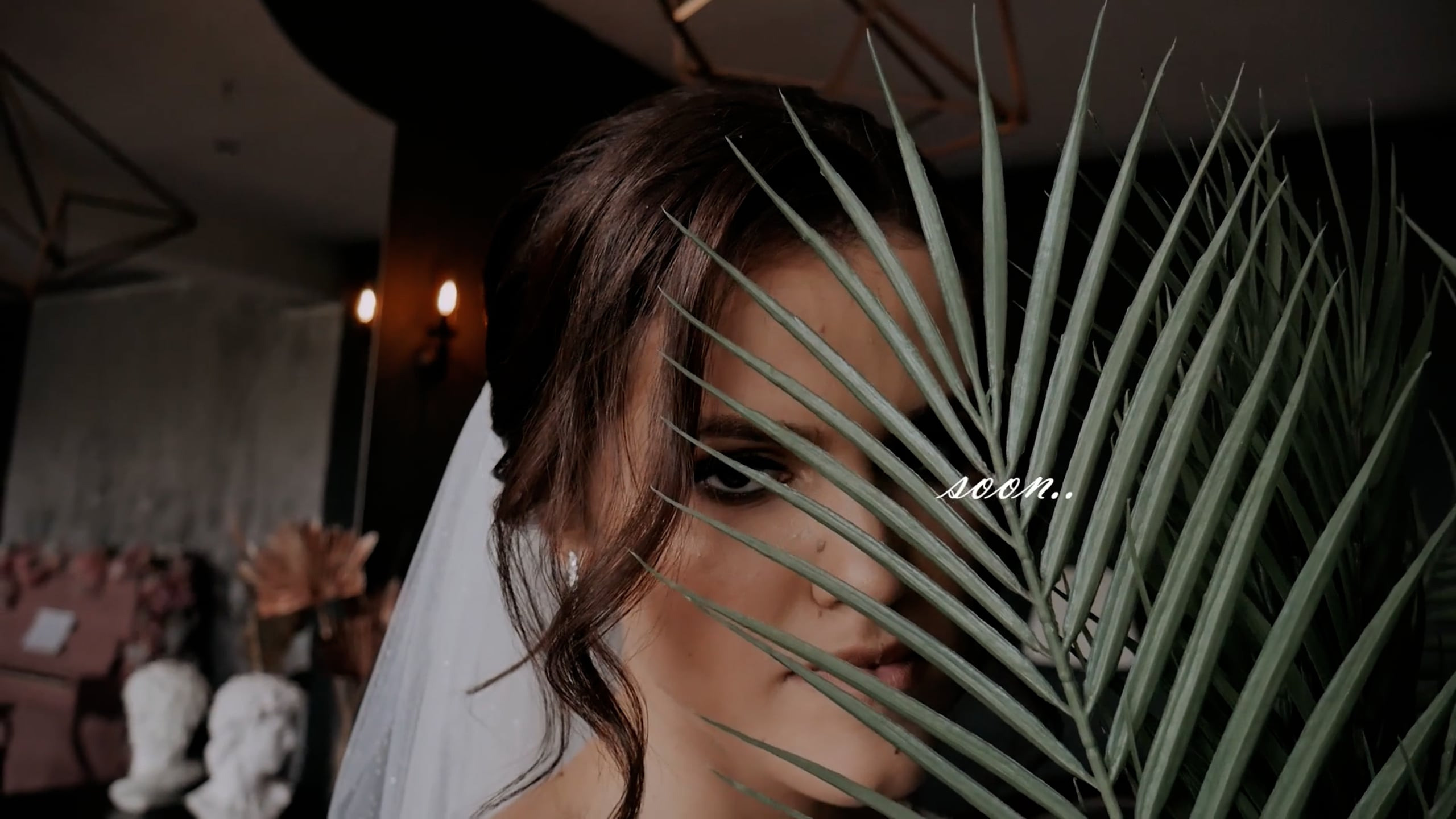 Свадьбы. Видеосъёмка, Аэросъёмка Гомель, РБ, СНГ, Мир