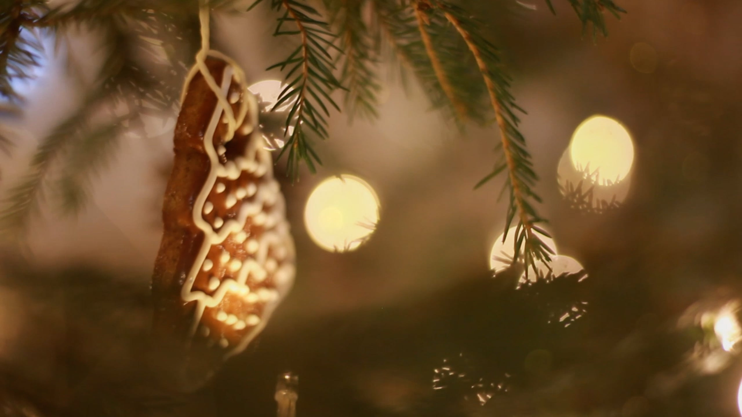 Мероприятия. Фотограф и видеограф Мария Банщикова, Солнечногорск, Москва