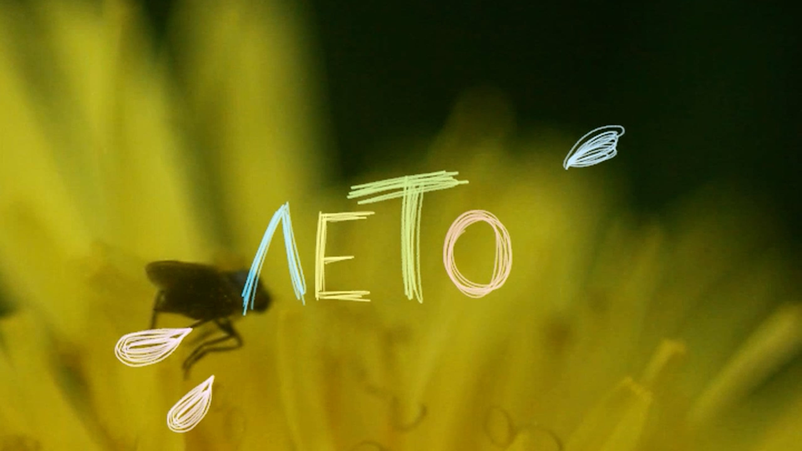 Коммерция. Фотограф и видеограф Мария Банщикова, Солнечногорск, Москва