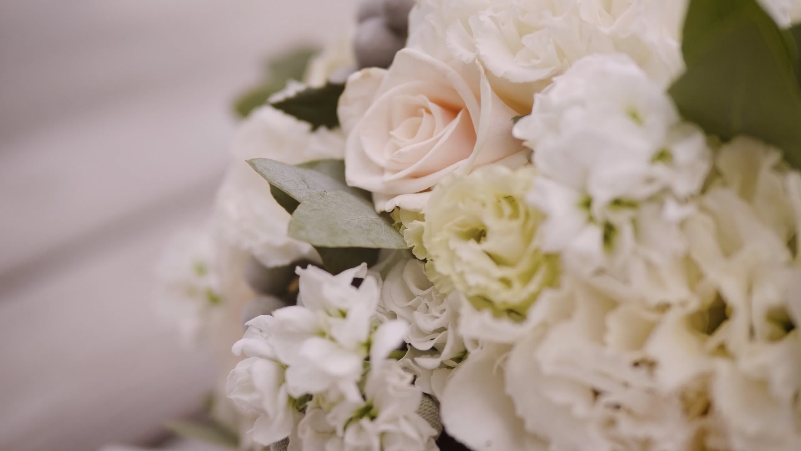 Свадьбы. Фотограф и видеограф Мария Банщикова, Солнечногорск, Москва