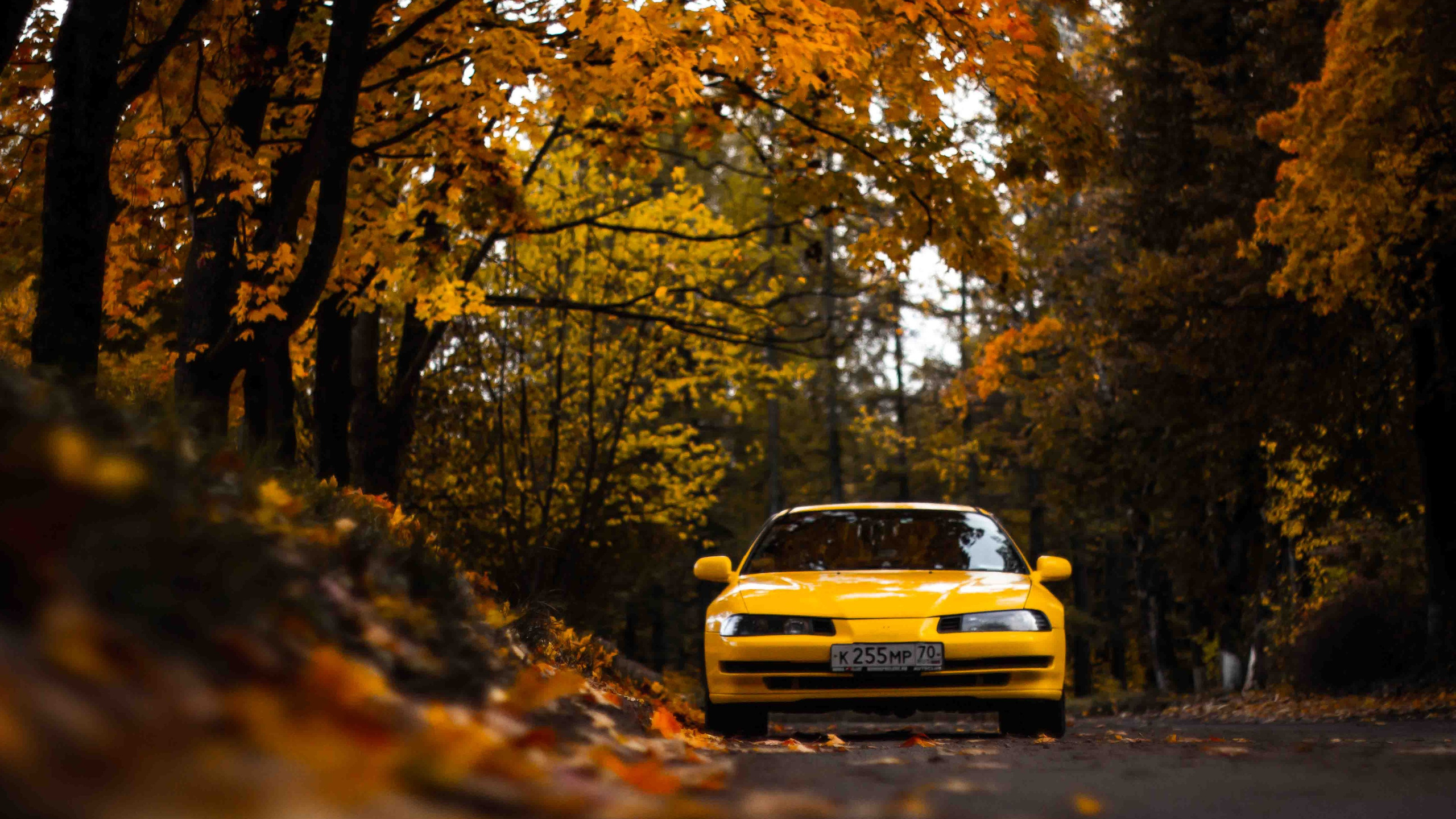 Осеннее настроение