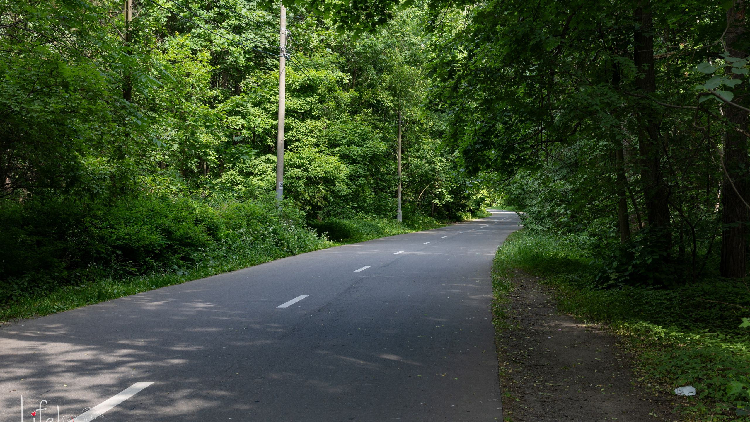Парк Кузьминки.