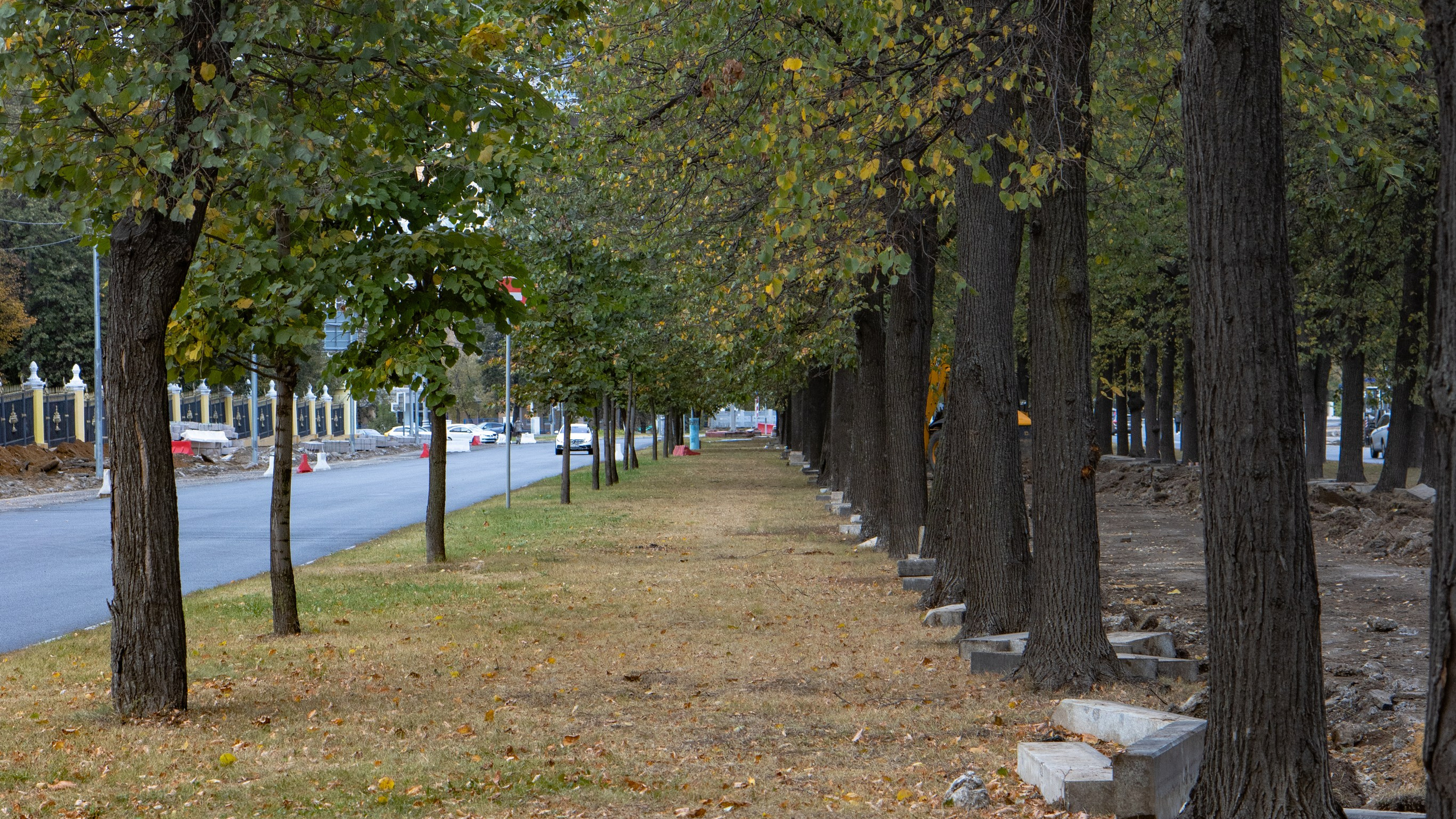 Осенняя прогулка