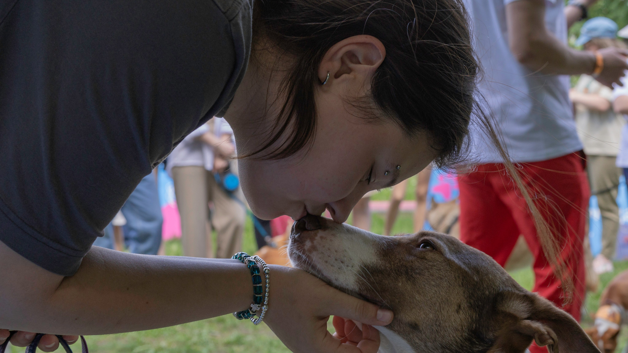 «ЛапкиФест»