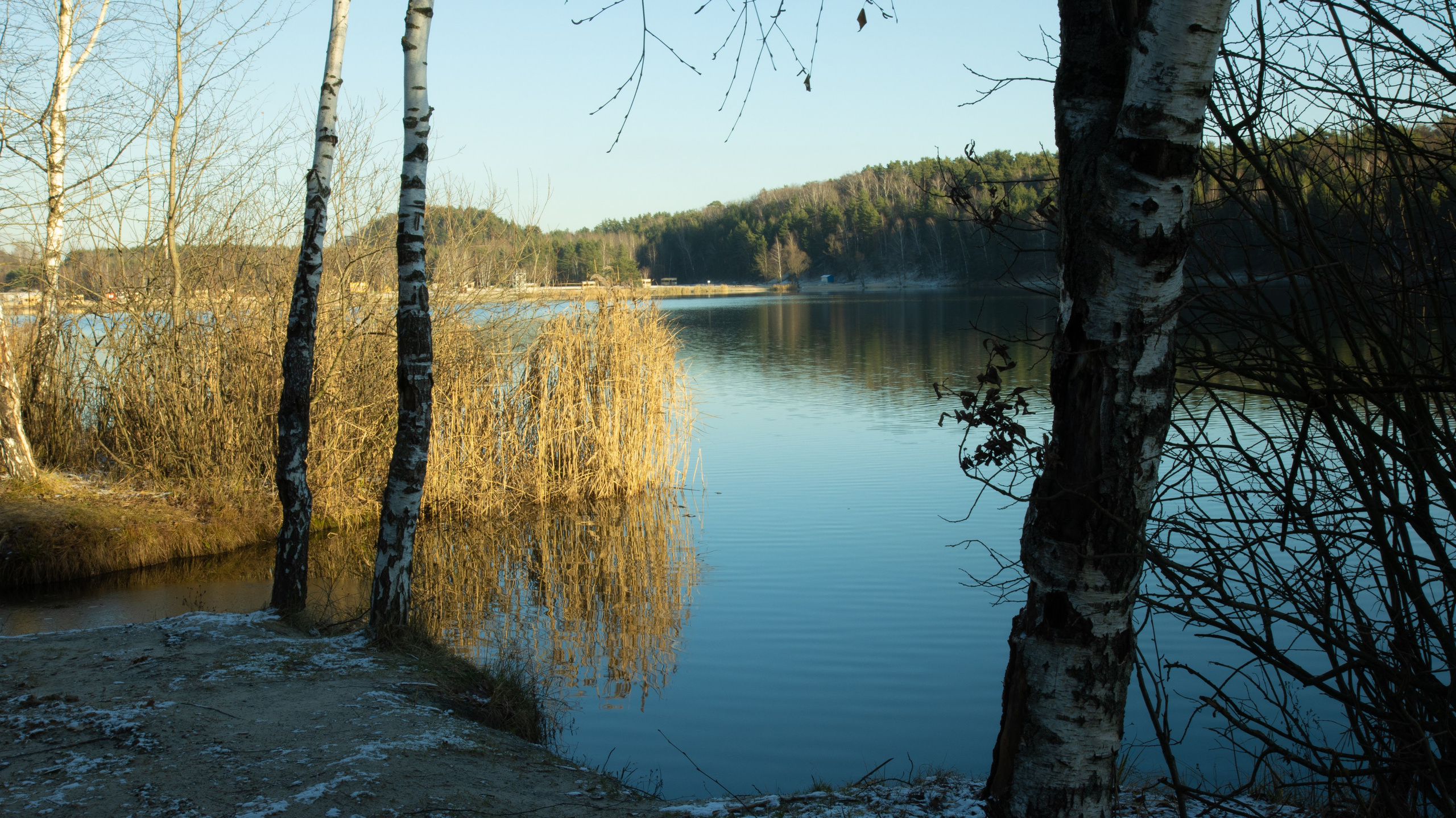 Просто фотки