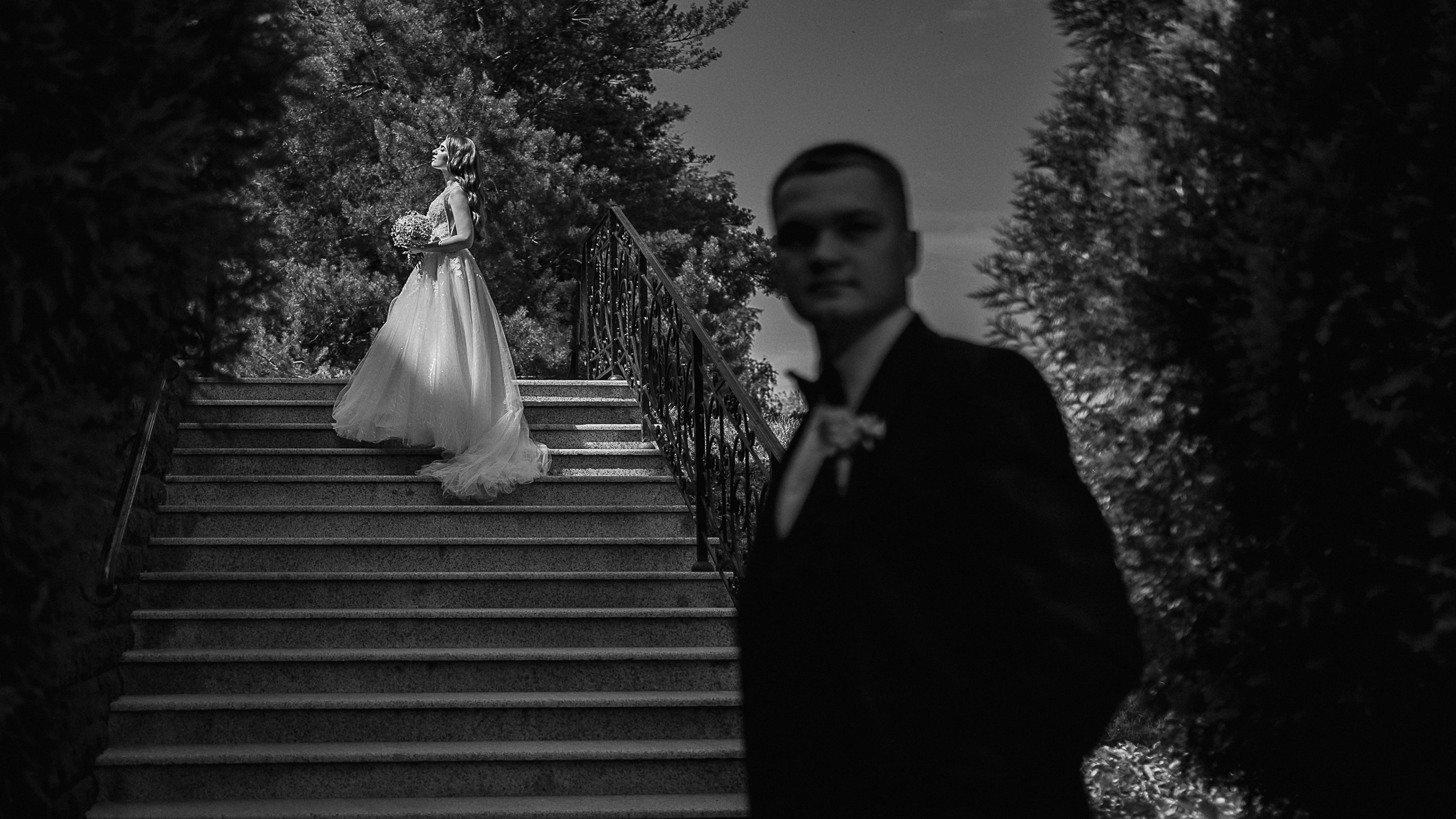 Крокодил на&nbsp;свадьбе?!