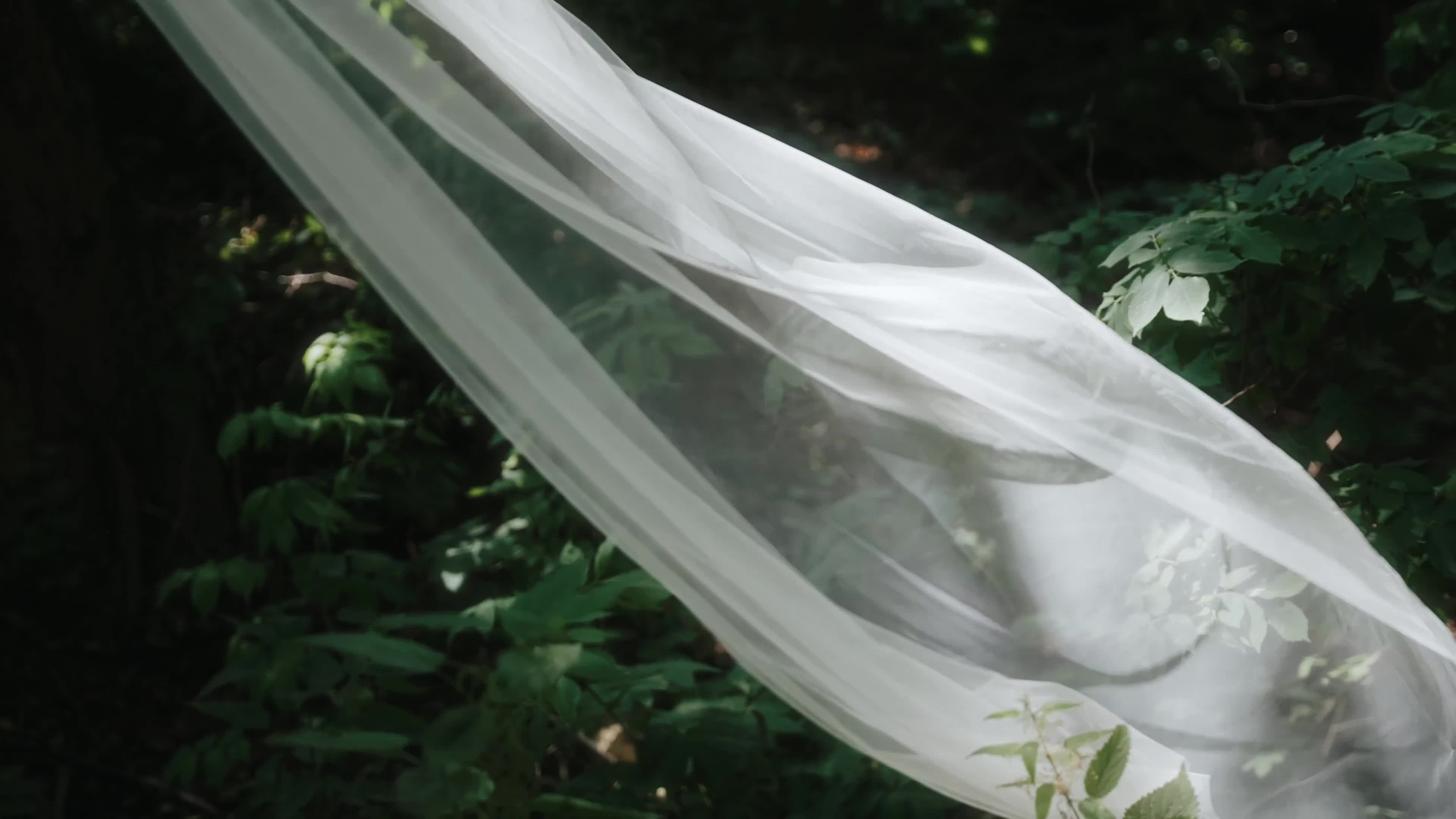 СВАДЬБЫ. Видеограф|Ростов-на-Дону|Краснодар|Санкт-Петербург|Москва|Валерий Малыхин