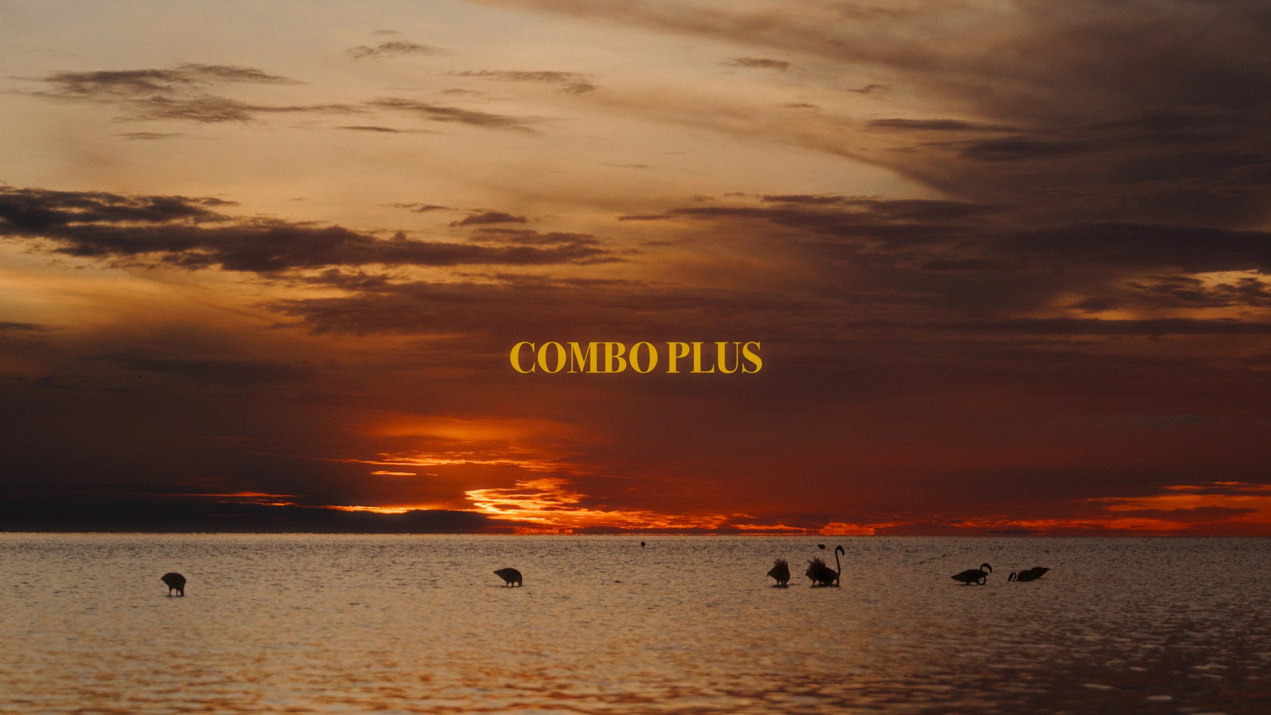 СВАДЬБЫ. Видеограф|Ростов-на-Дону|Краснодар|Санкт-Петербург|Москва|Валерий Малыхин