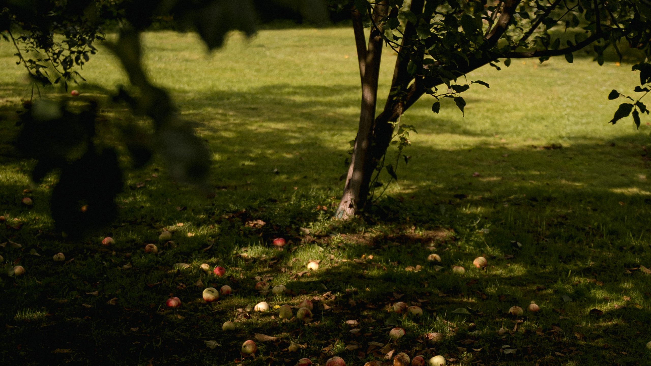 Михаил и Александра