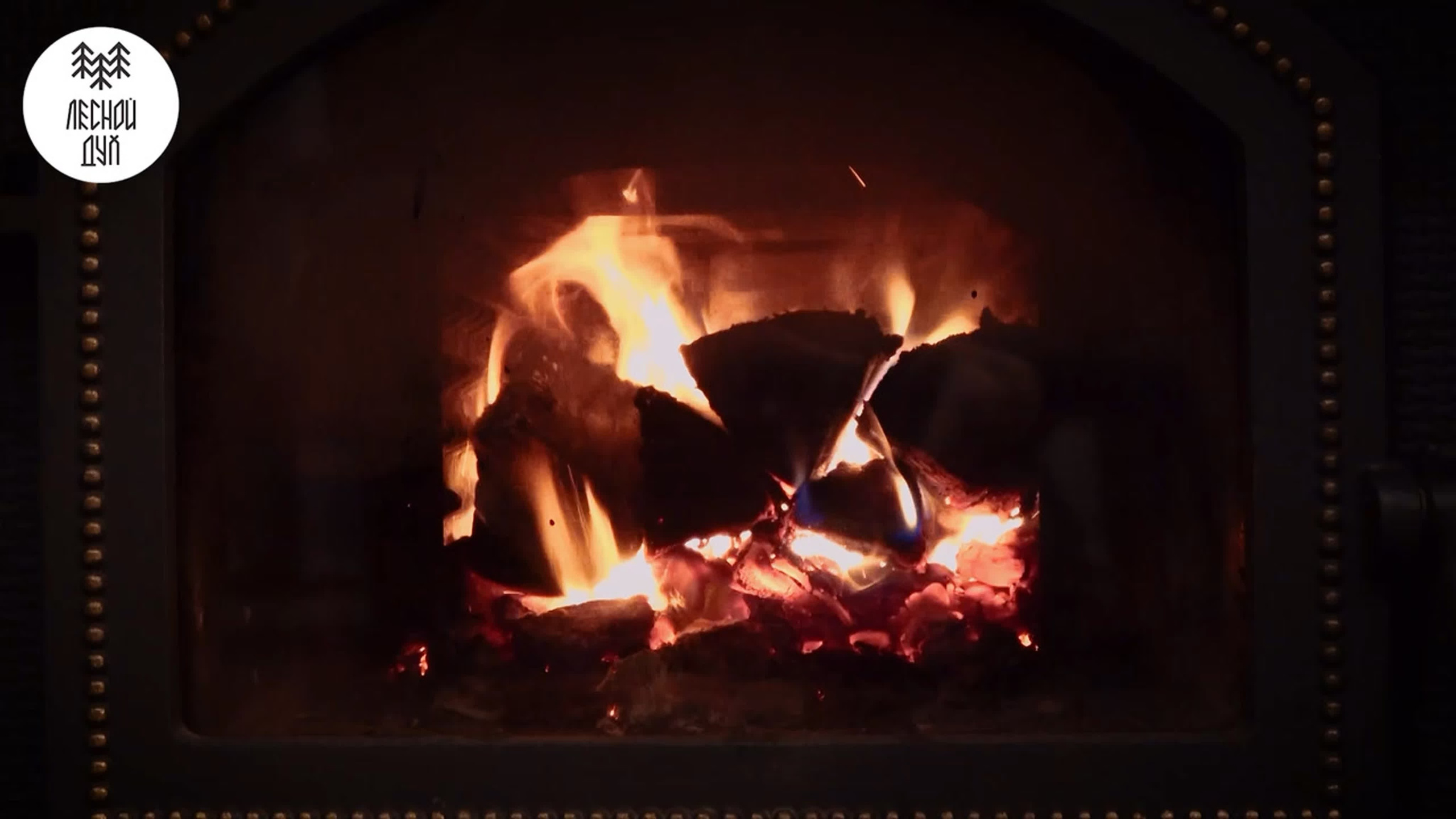 Реклама (видео). Фото и видеосъёмка в Ярославле | Грибов Медиа контент студия  — от 2500 ₽/час