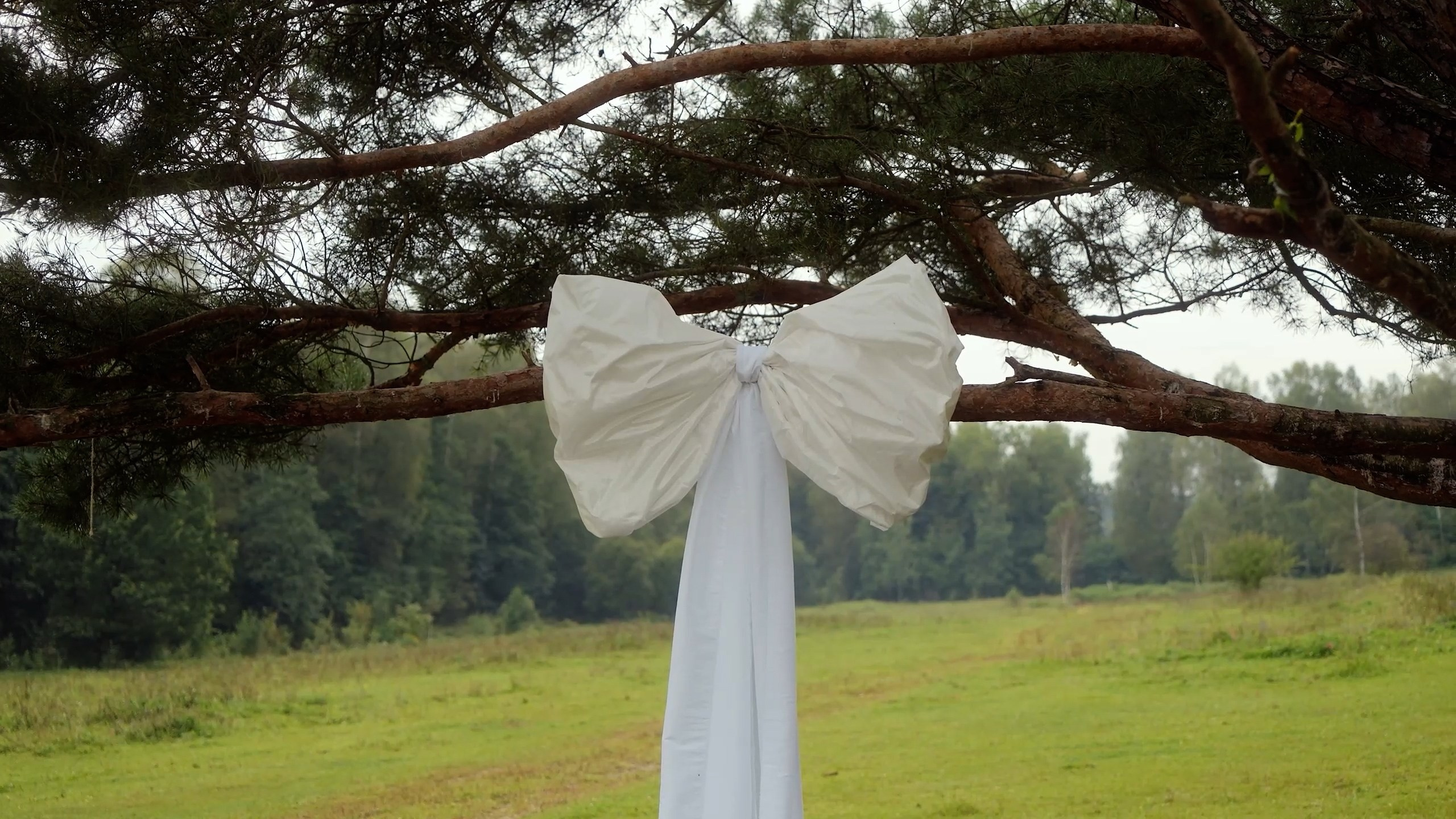 Свадебные фильмы. Алексей Гамин