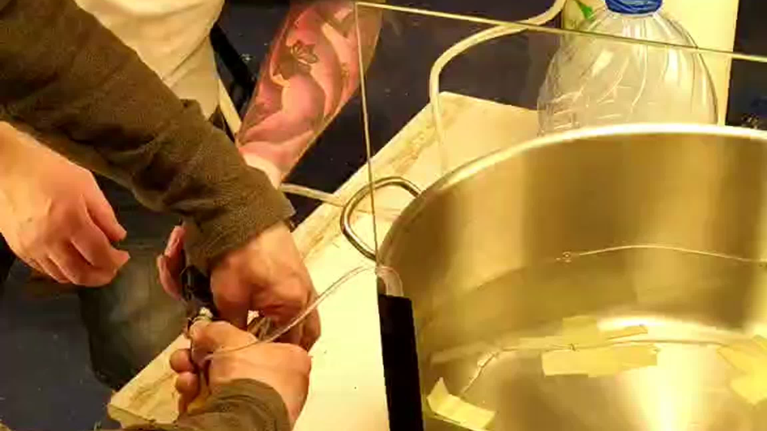 #Фабрика #качества #спб #вв. Фуд стилистика, отснимем рекламное фото или видео, услуги бренд шефа продакшн верстка меню Создание креативной концепции съемки — Создание