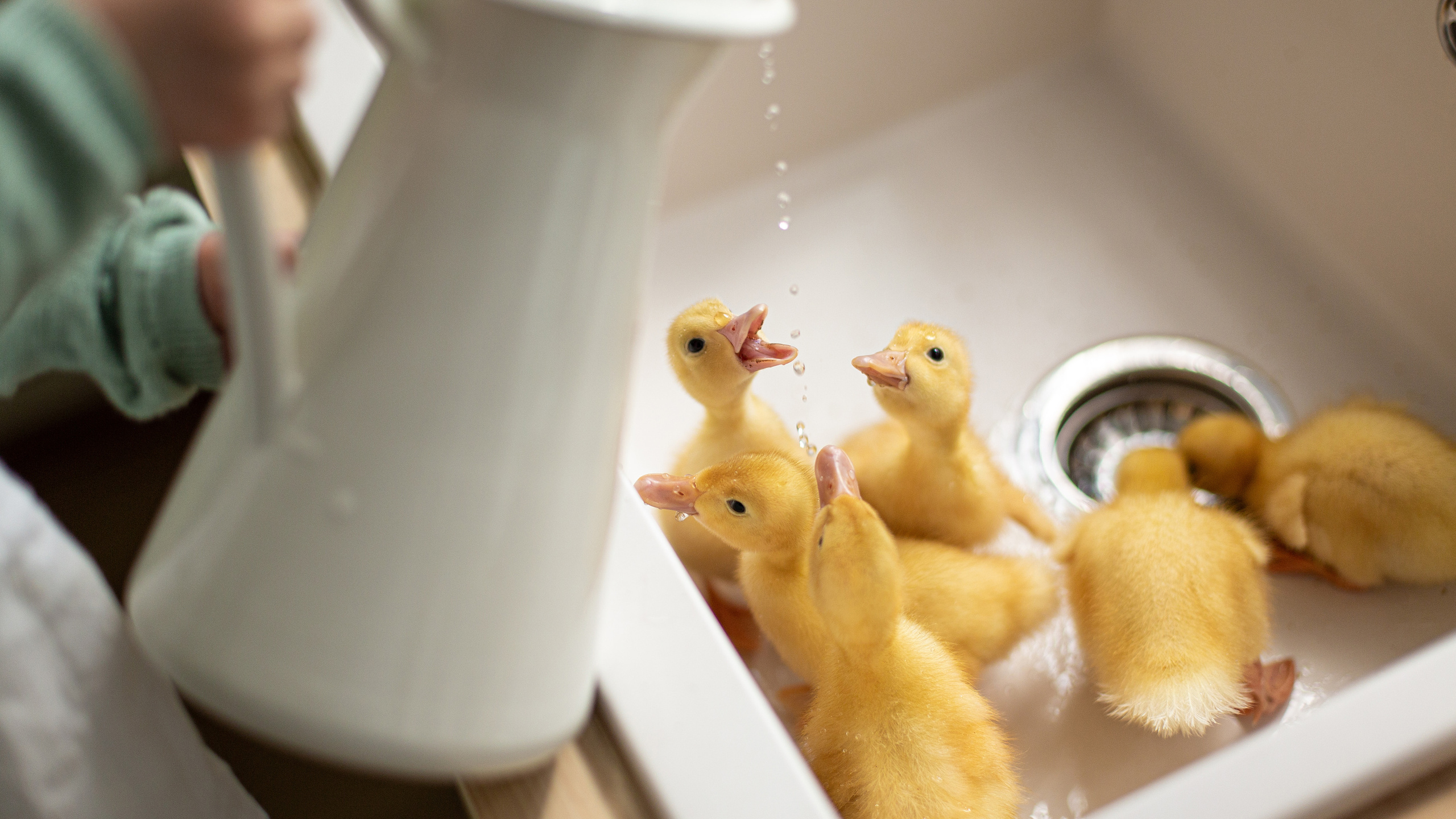 Весна на даче